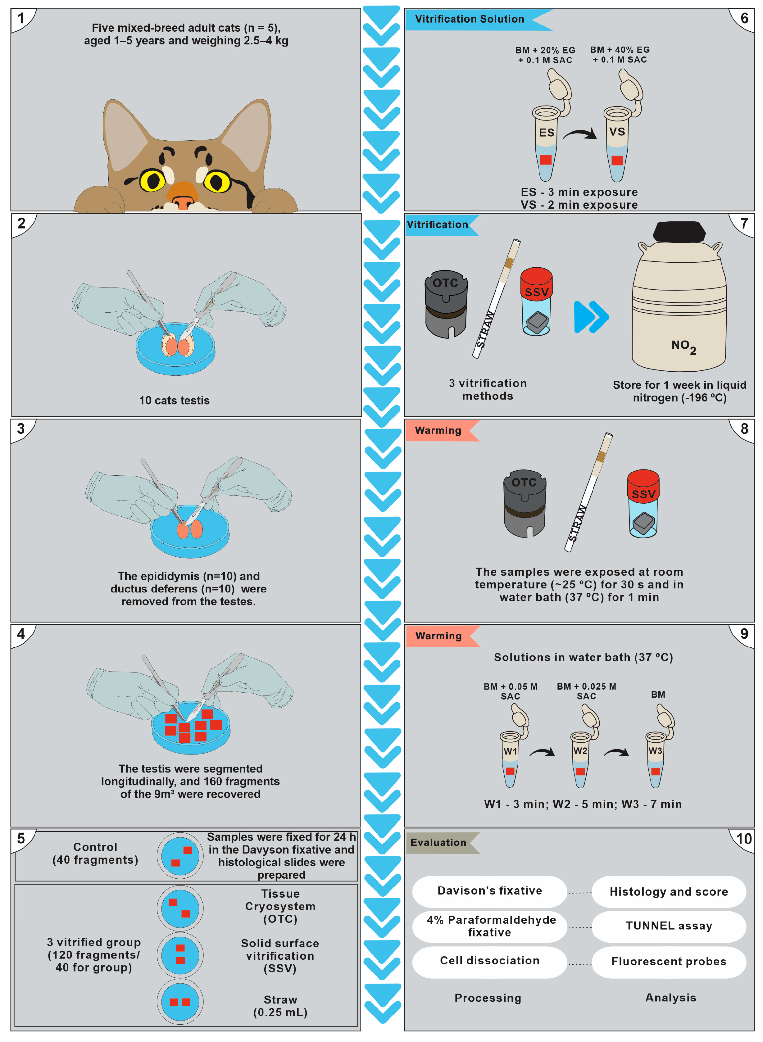 Animals 13 02768 g001