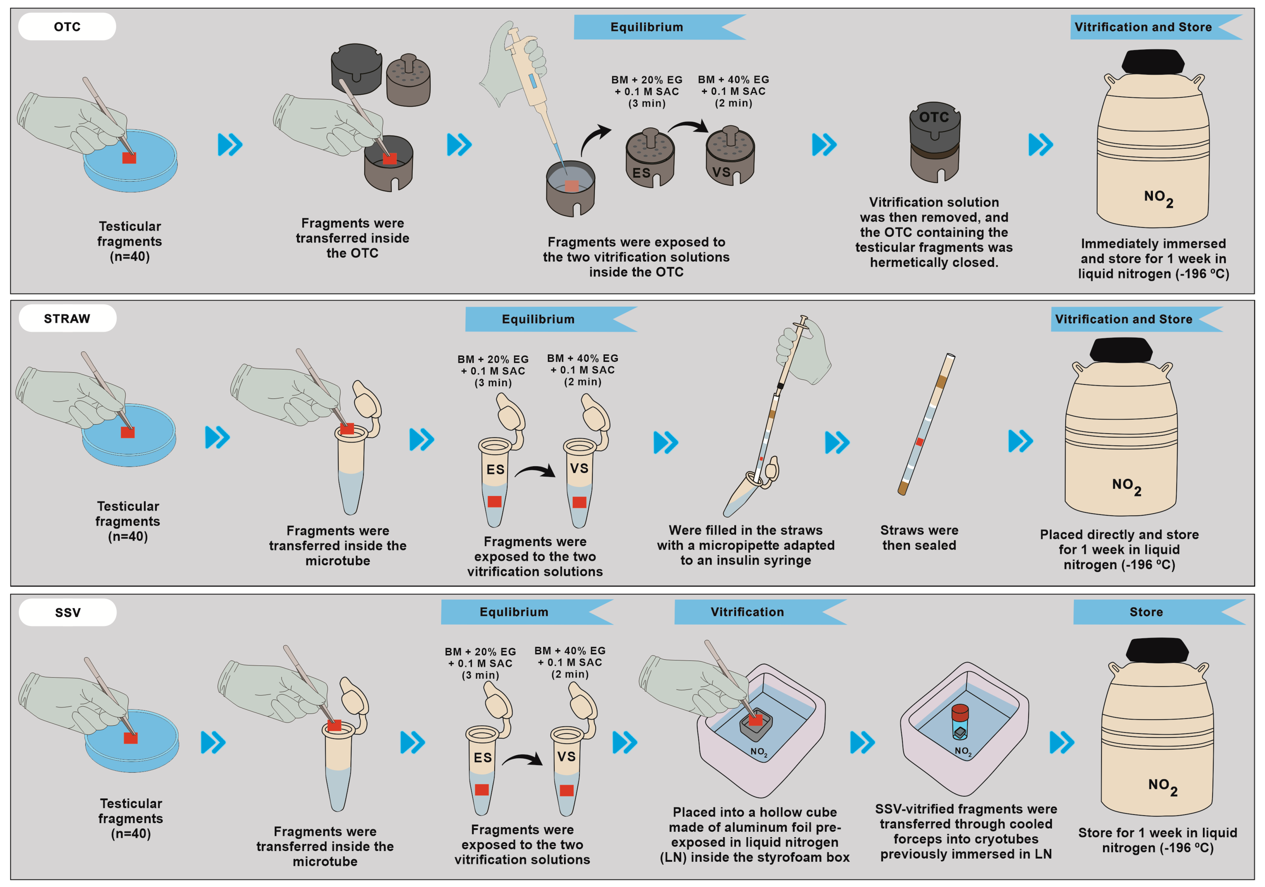 Animals 13 02768 g002