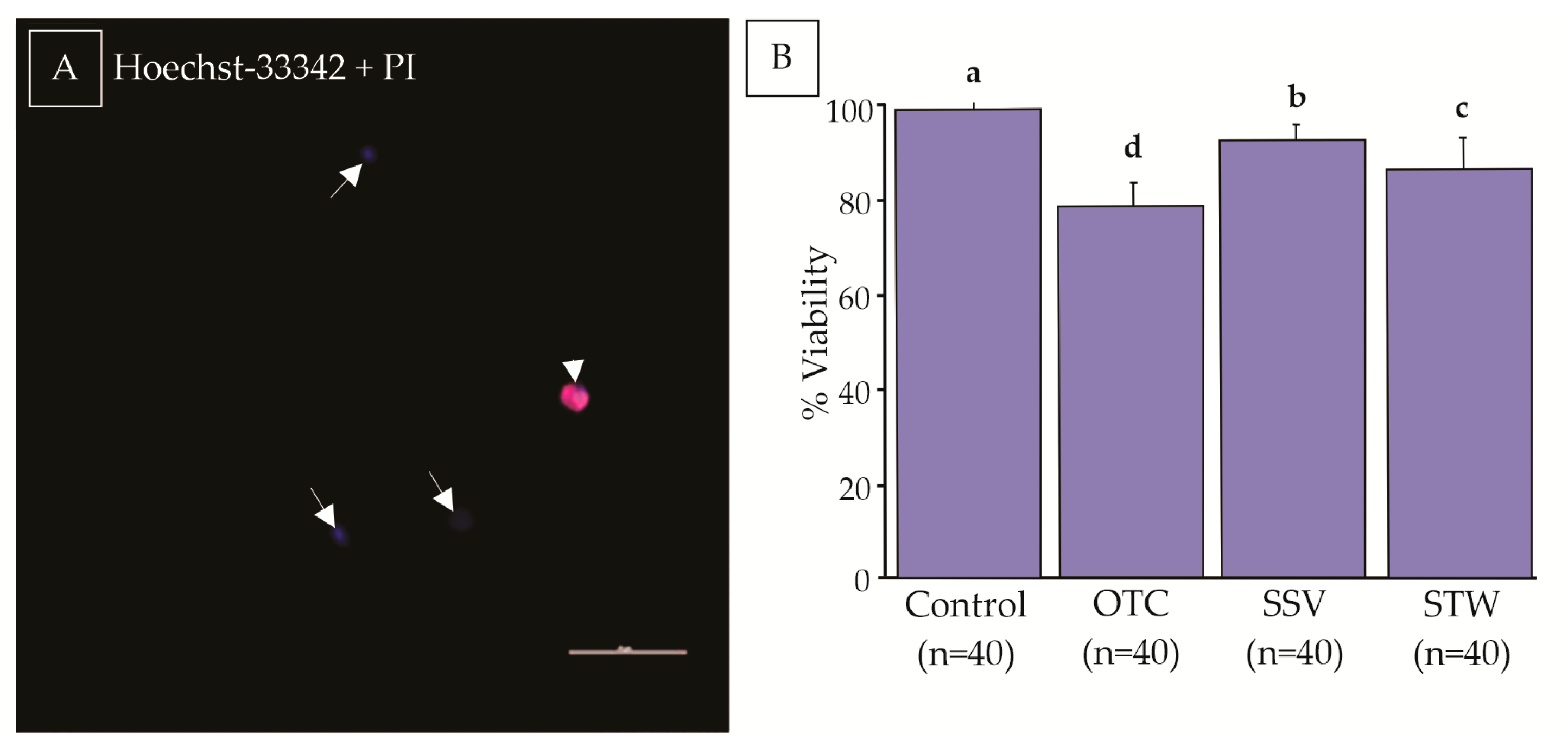 Animals 13 02768 g004