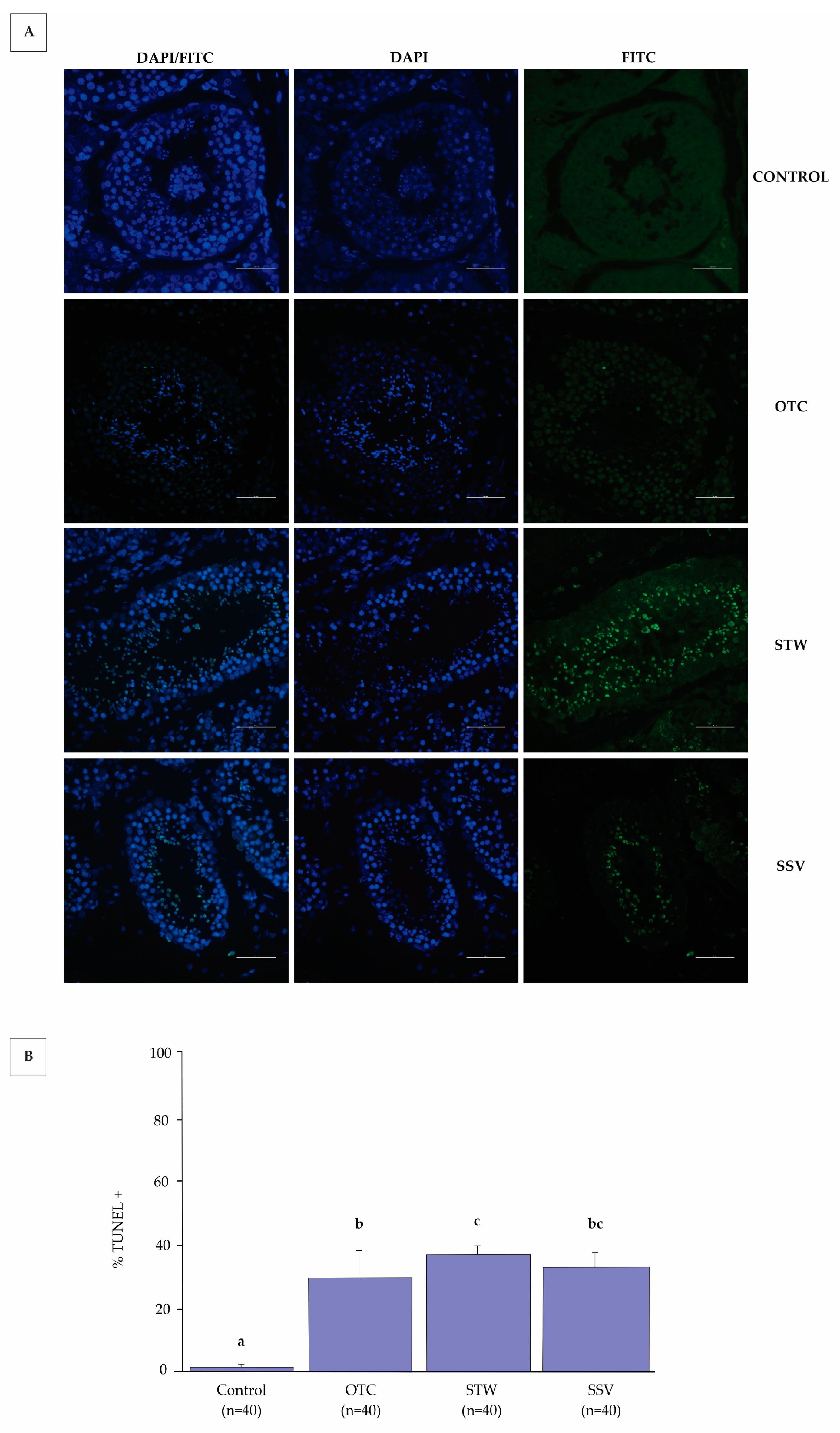 Animals 13 02768 g005