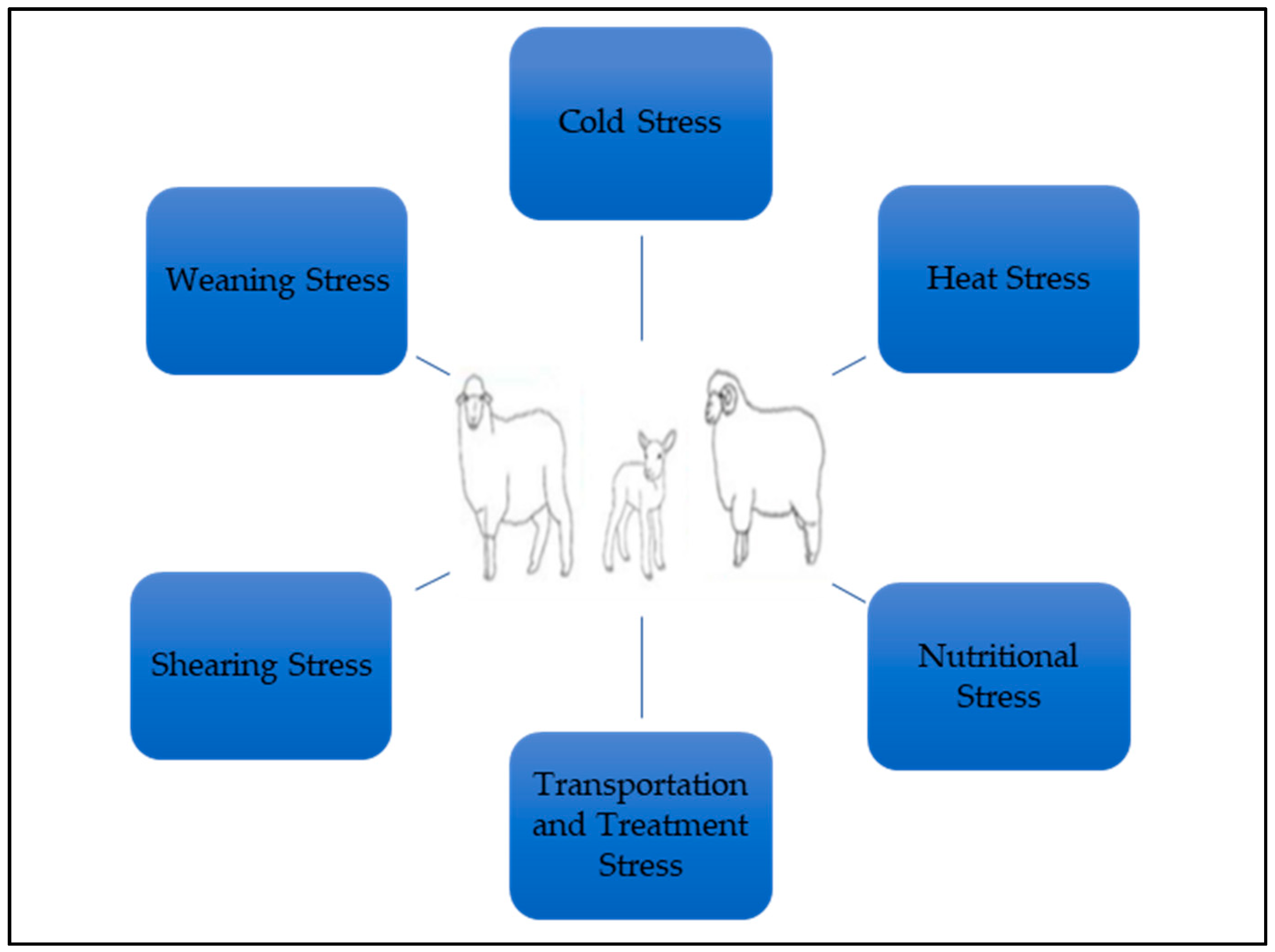 Animals 13 02769 g001