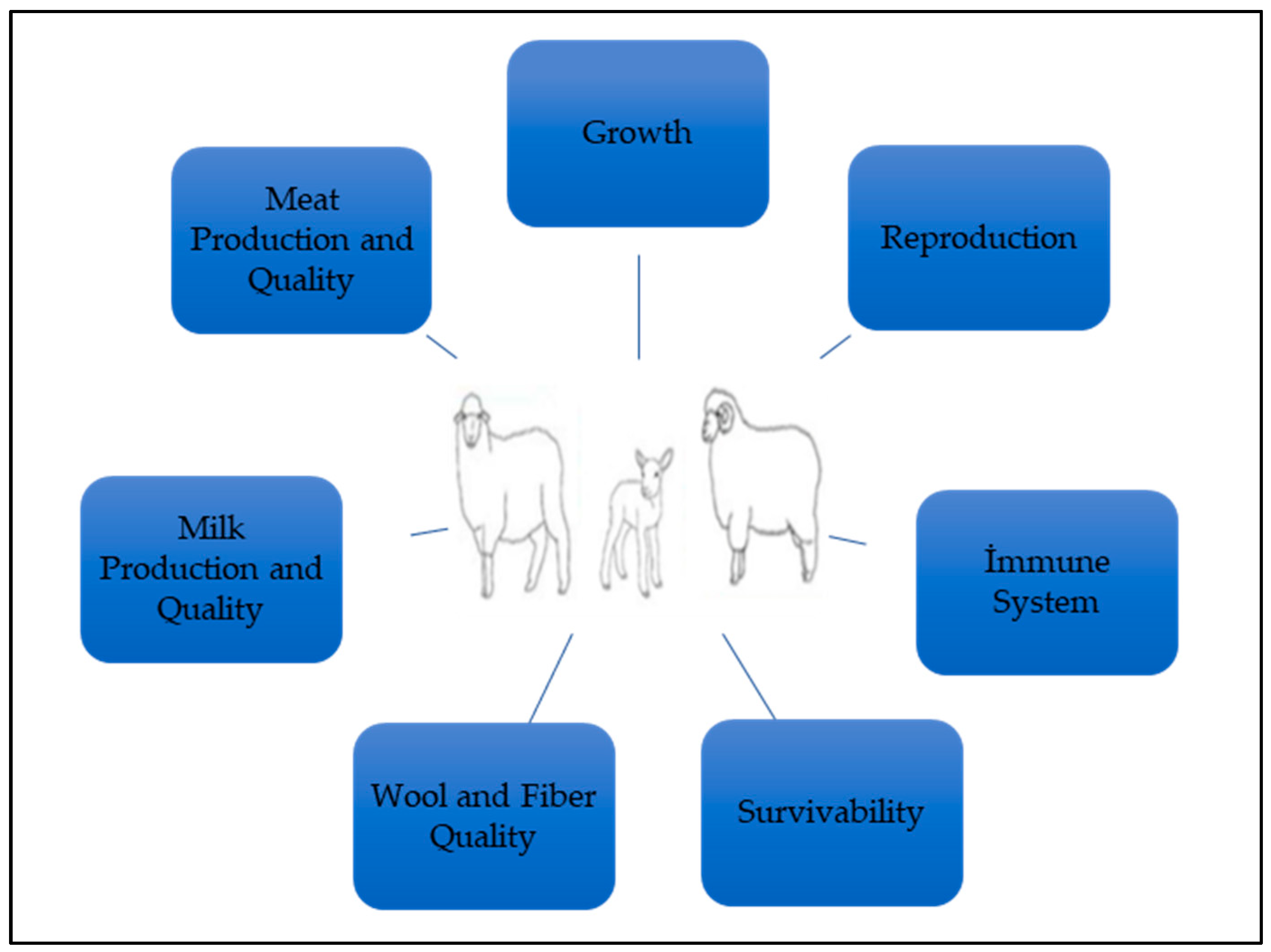 Animals 13 02769 g002