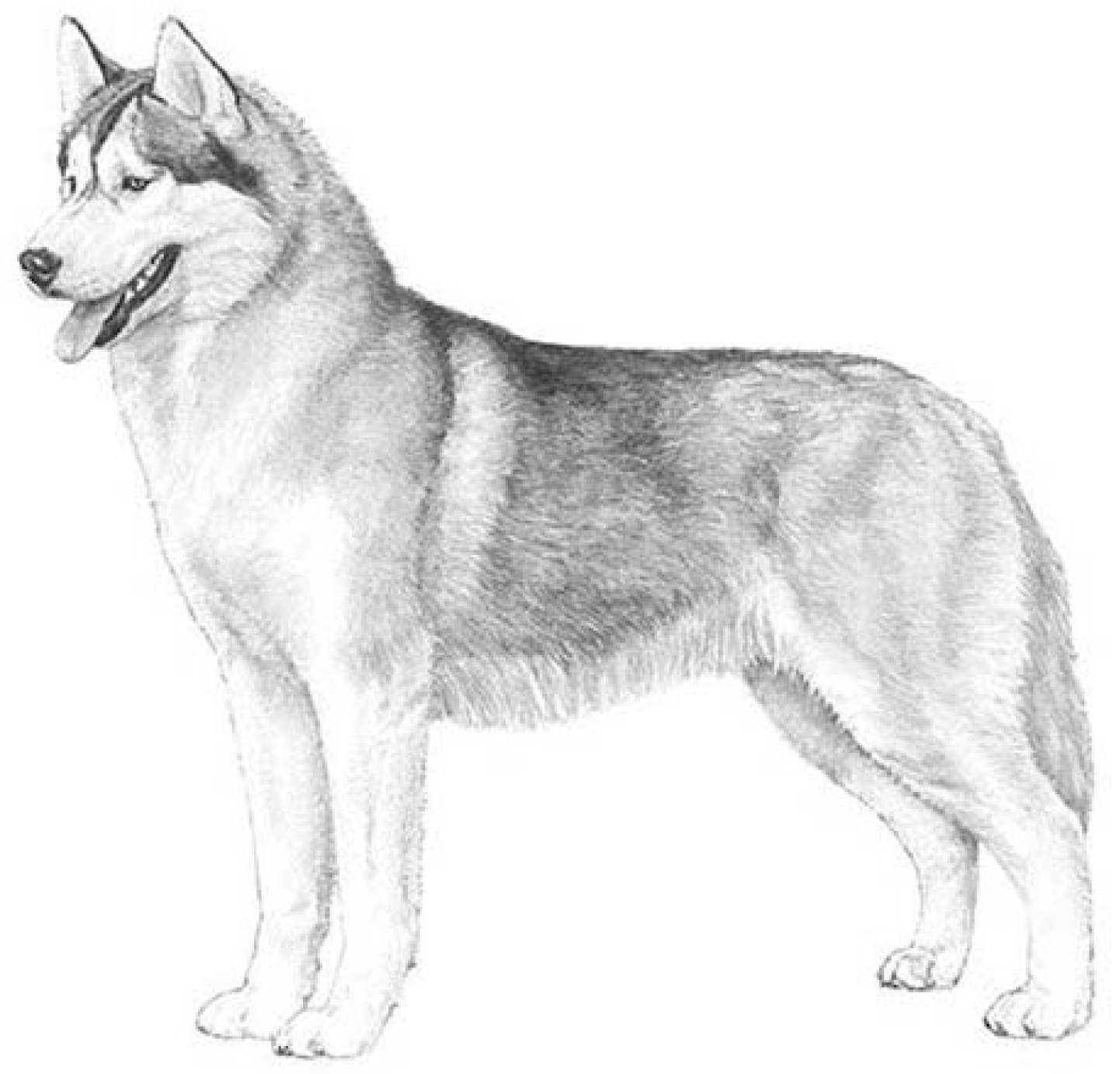 Animals 13 02774 g001 Animals 13 02774 g001