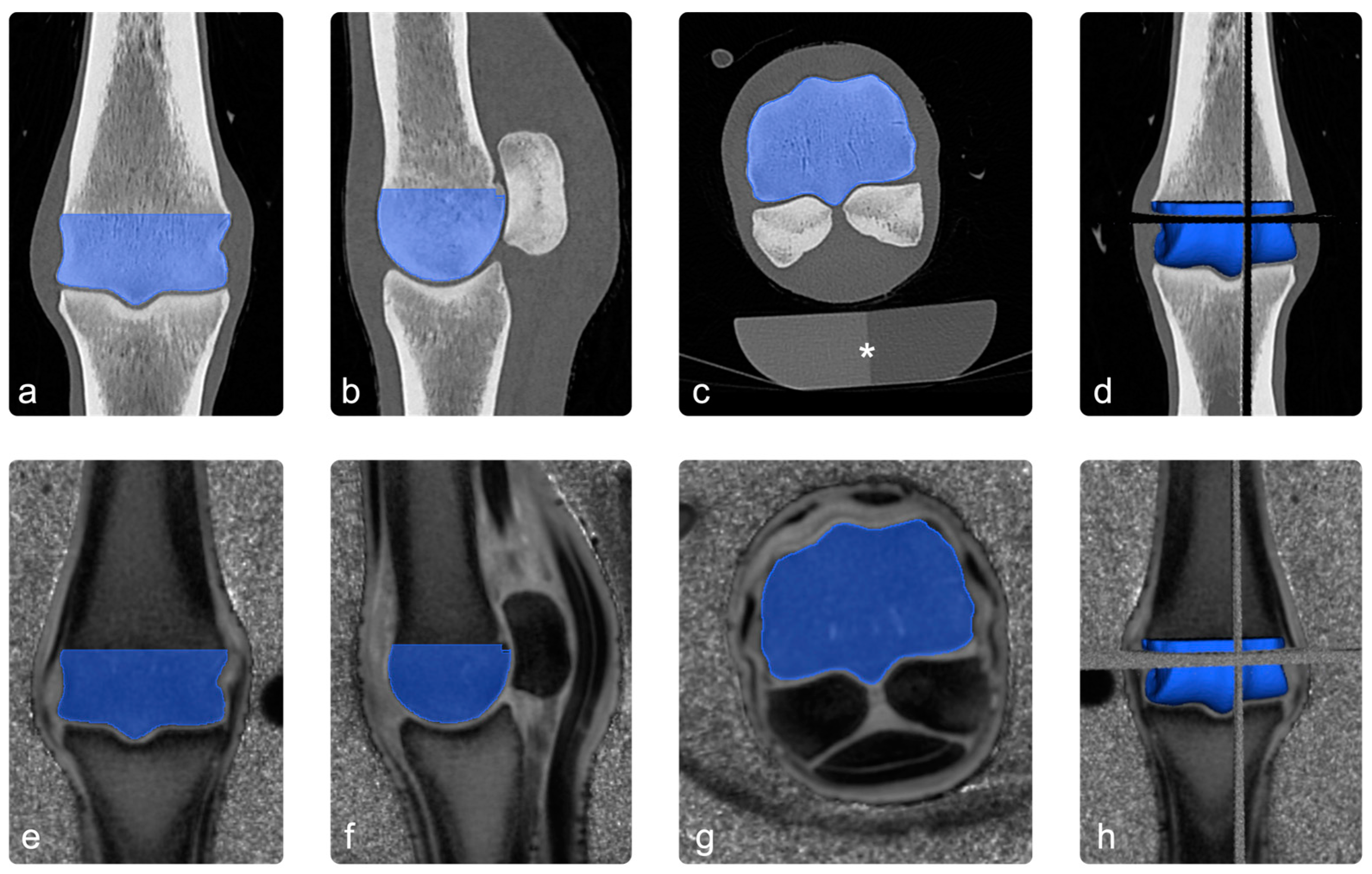 Animals 13 02780 g002