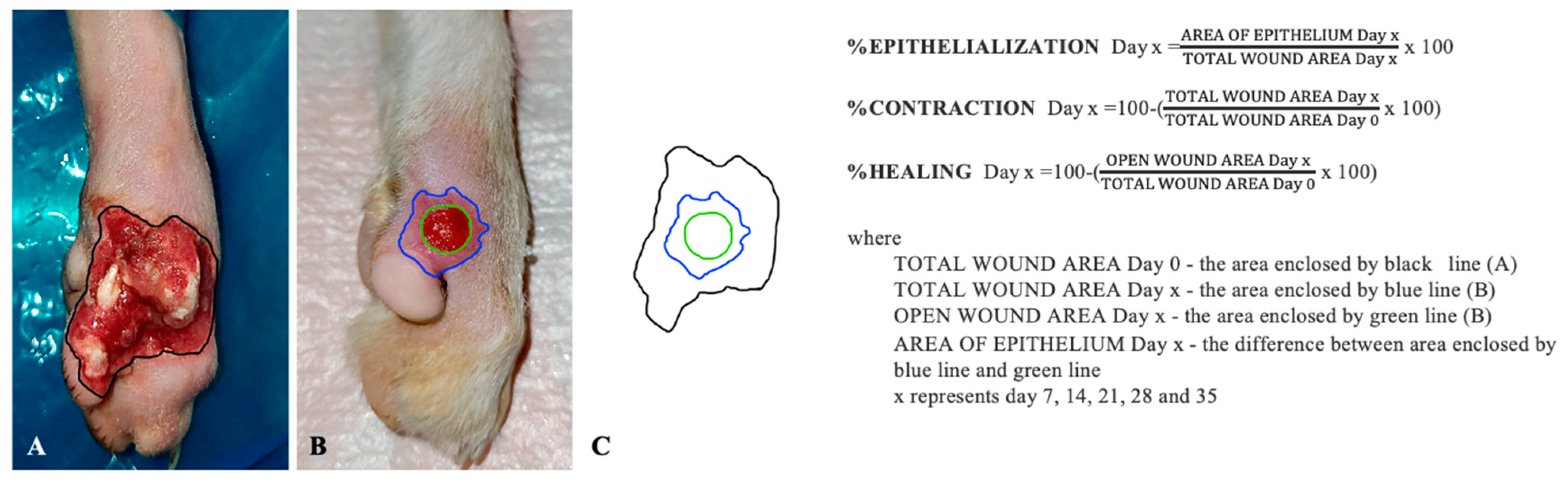 Animals 13 02796 g002