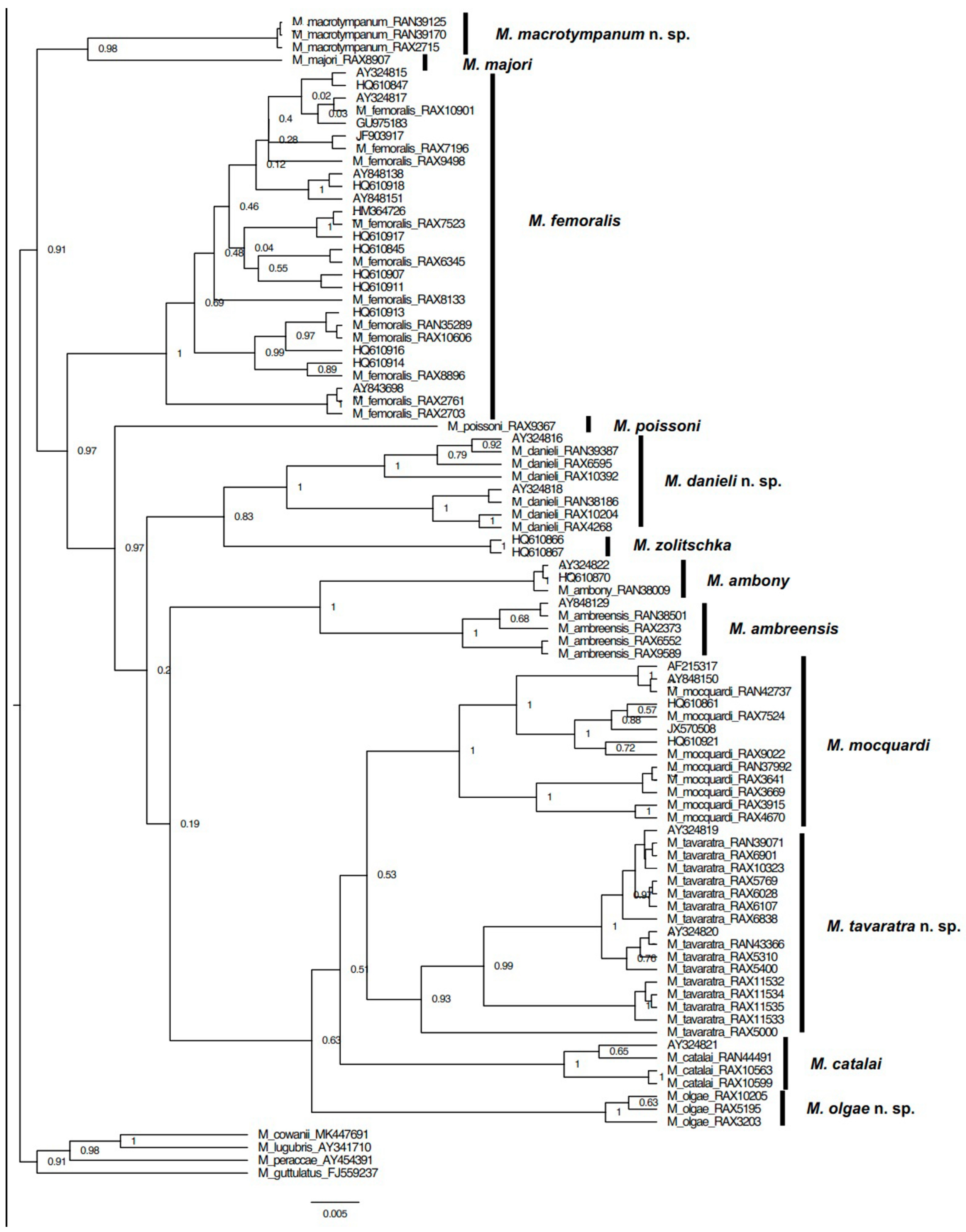 Animals 13 02800 g001