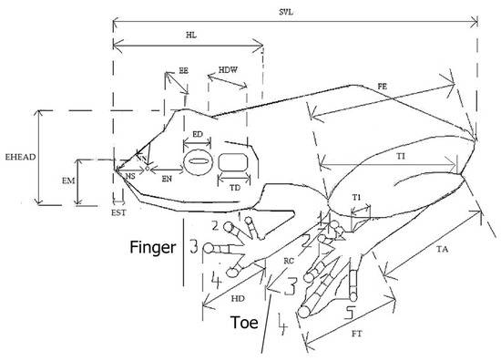 Animals 13 02800 g0a1