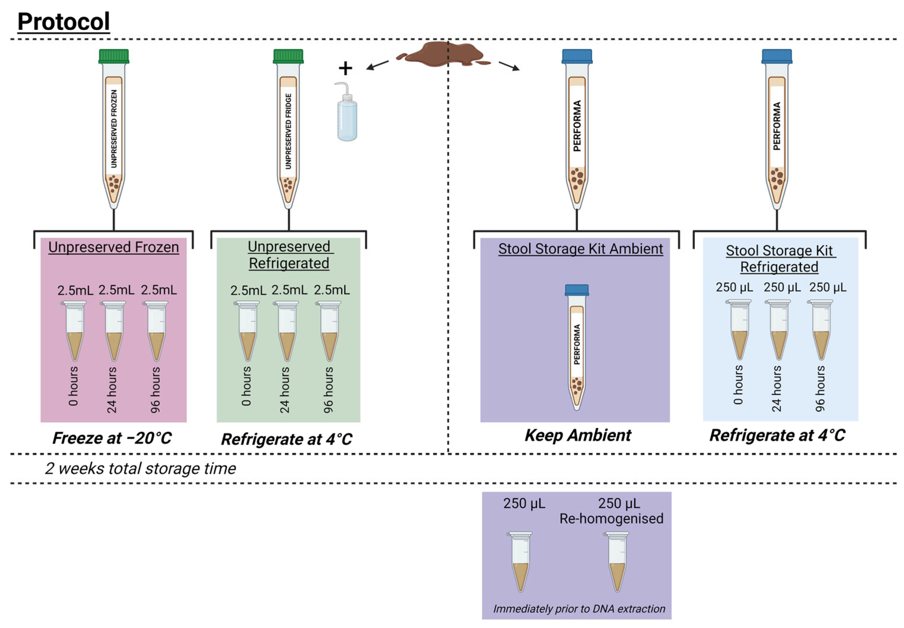 Animals 13 02807 g001
