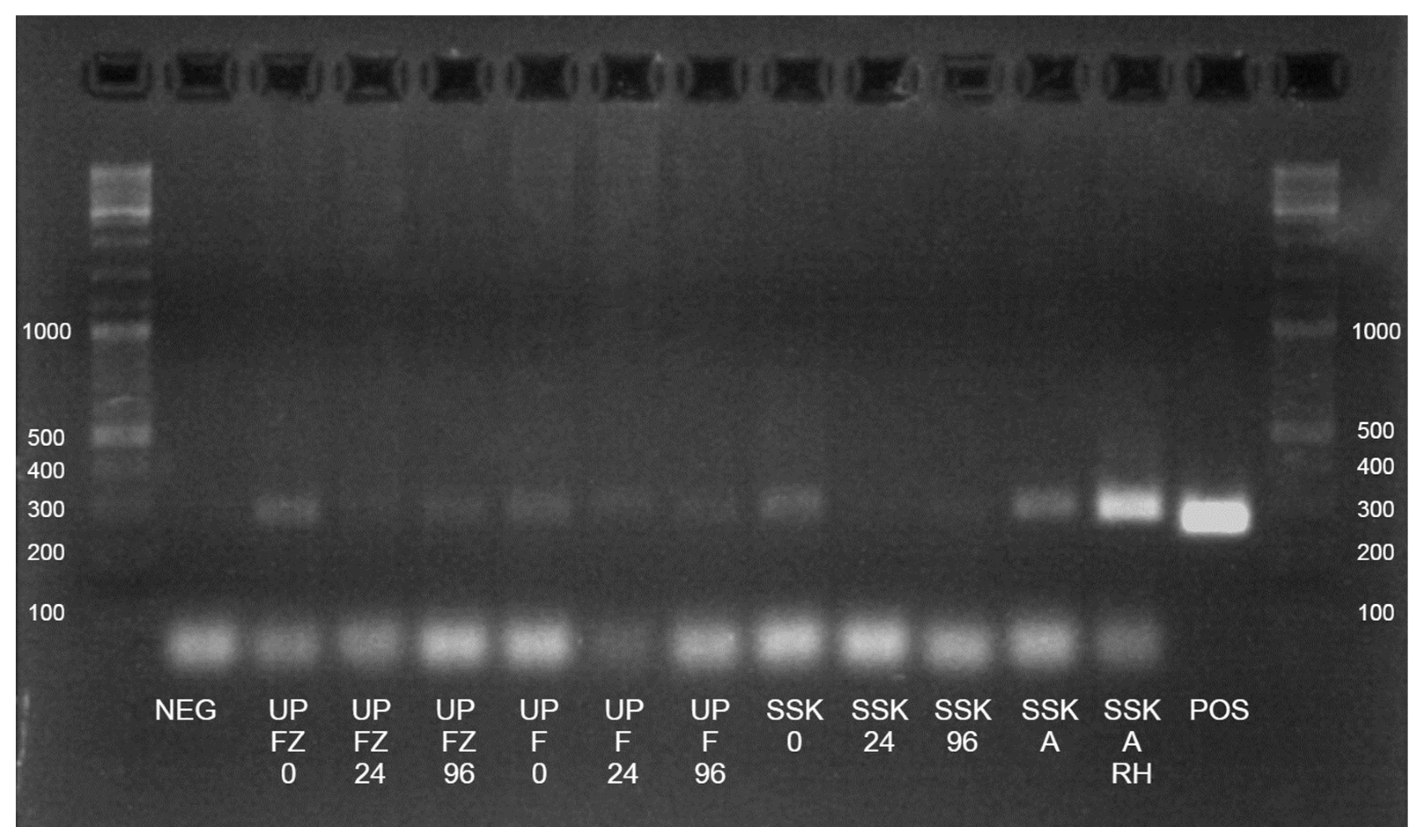 Animals 13 02807 g002