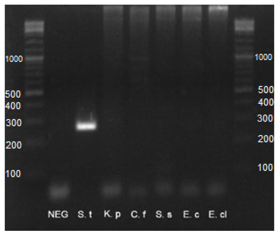 Animals 13 02807 g0a1