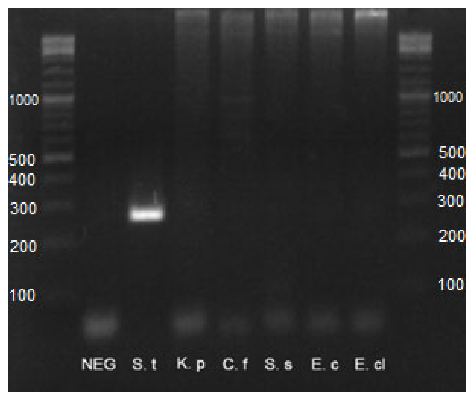 Animals 13 02807 g0a1