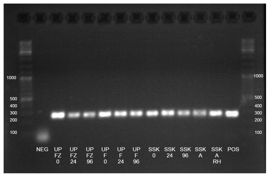 Animals 13 02807 g0a2