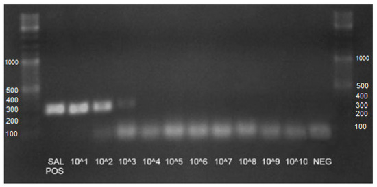 Animals 13 02807 g0a3