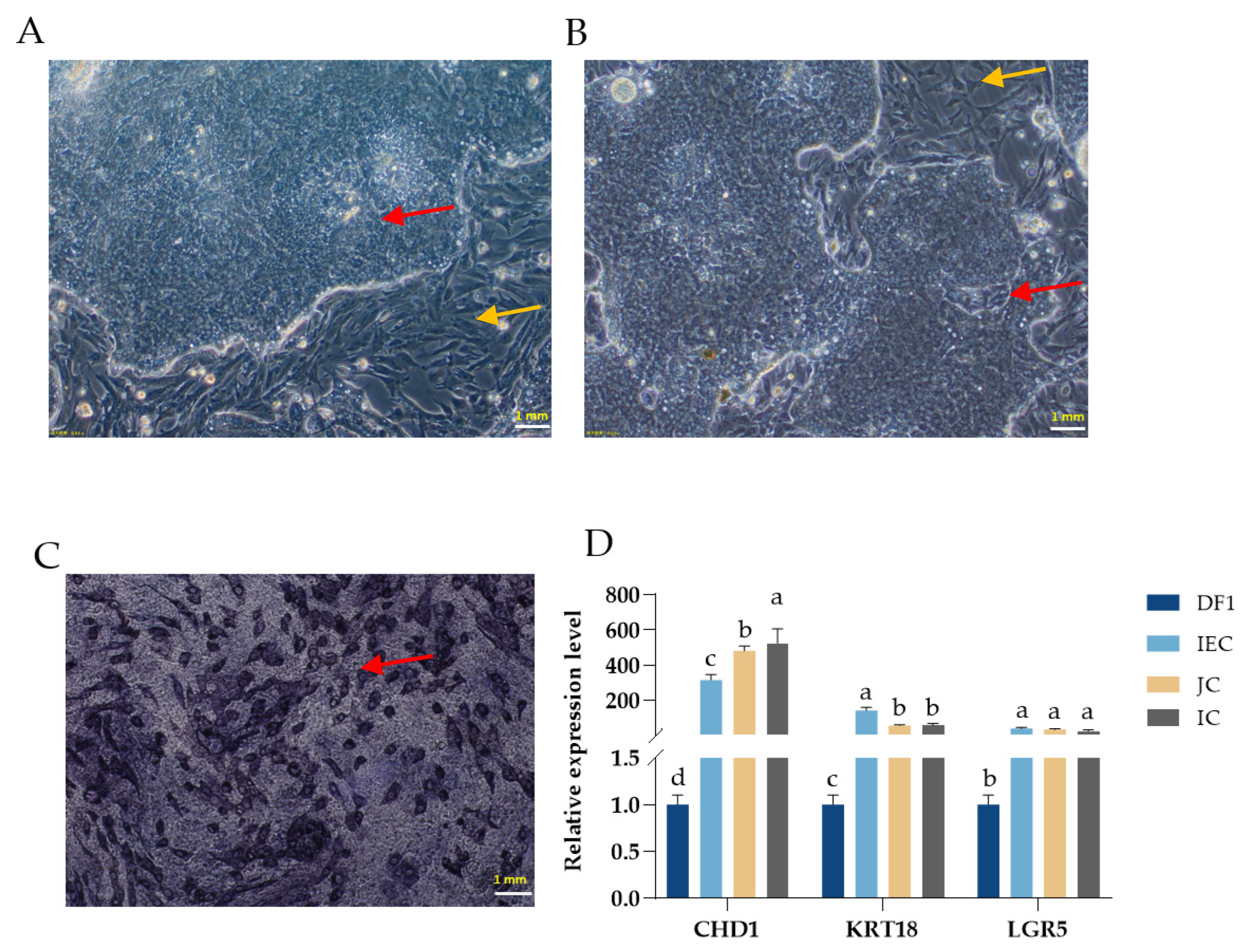 Animals 13 02830 g001