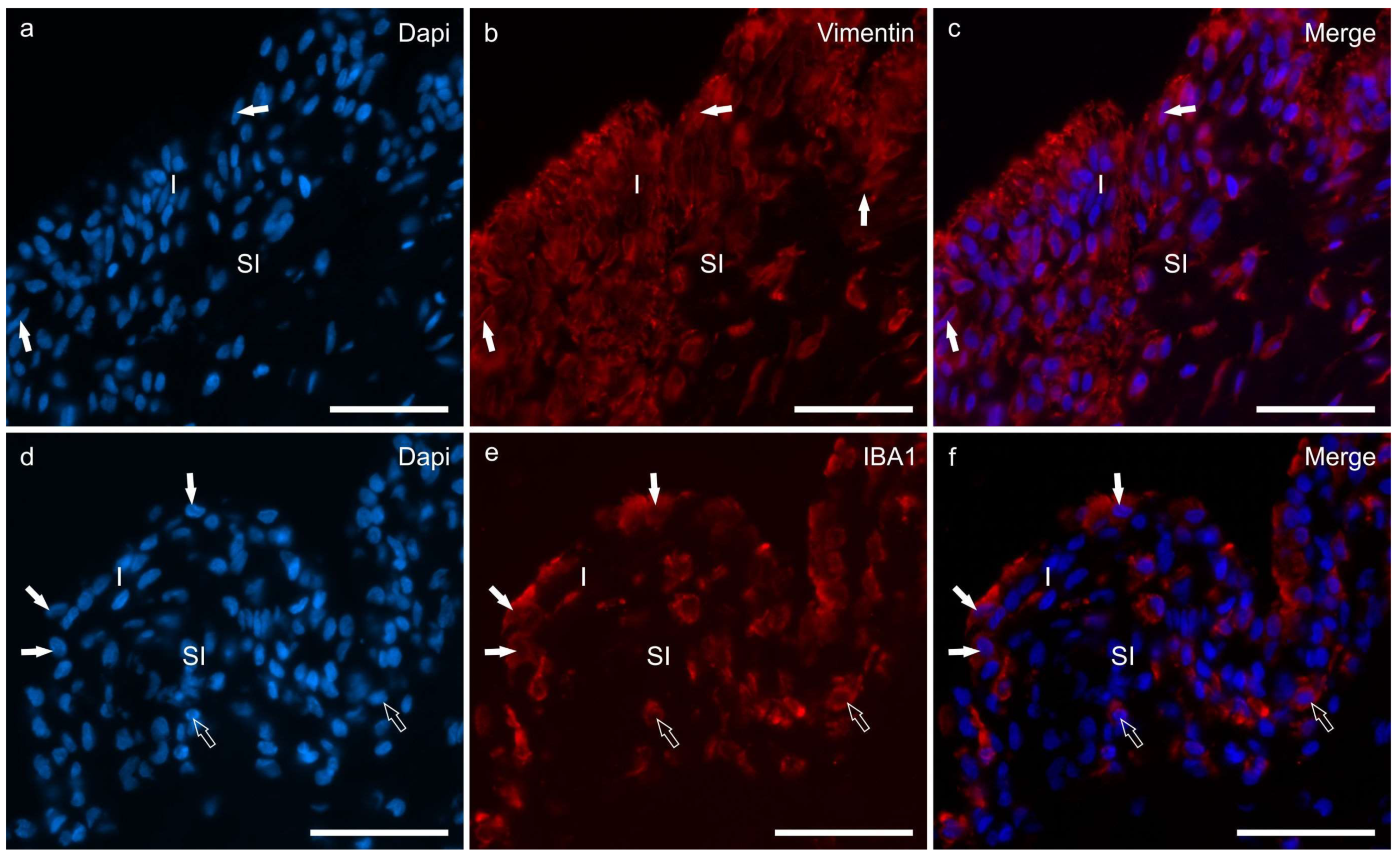 Animals 13 02833 g002