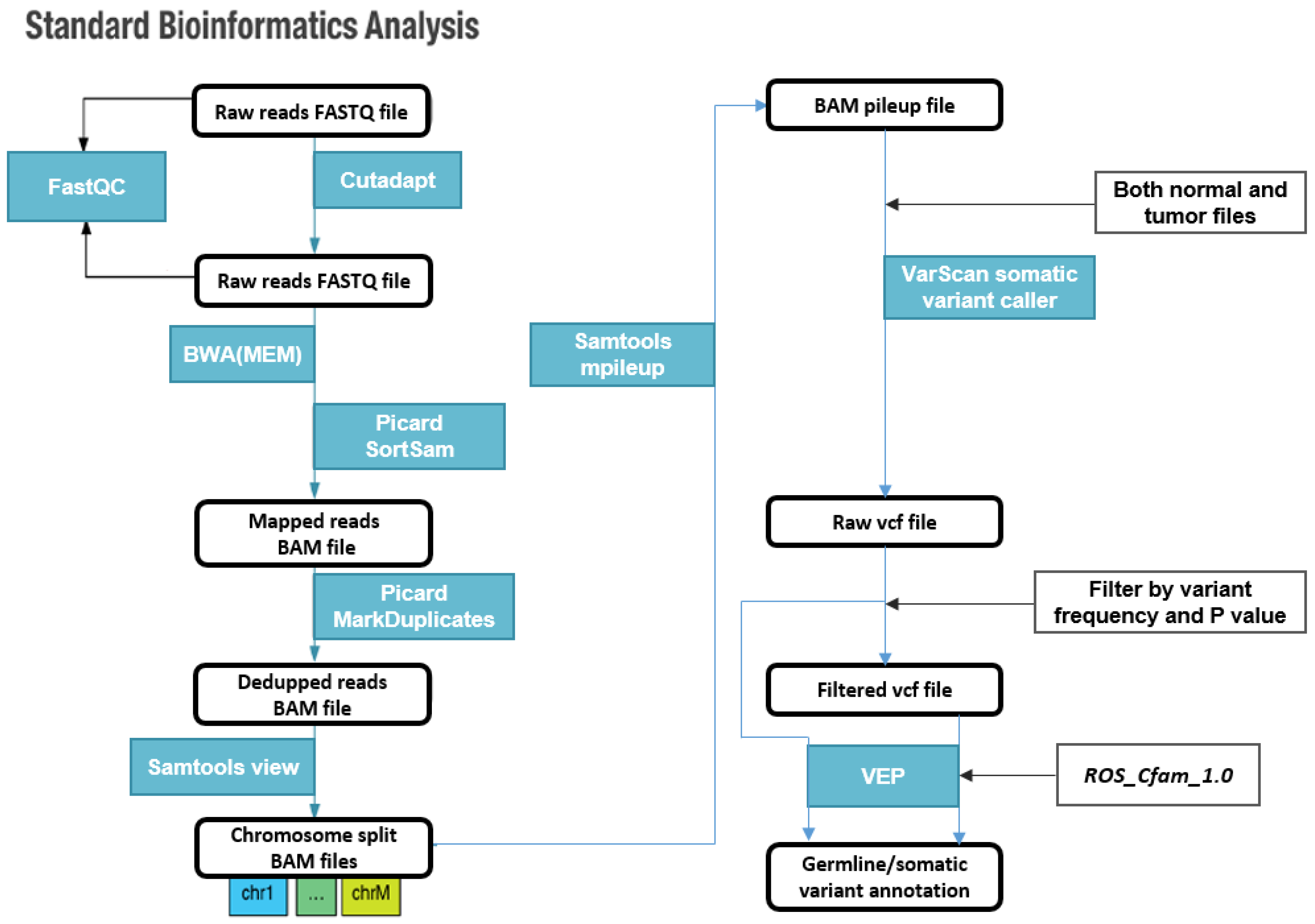 Animals 13 02846 g001