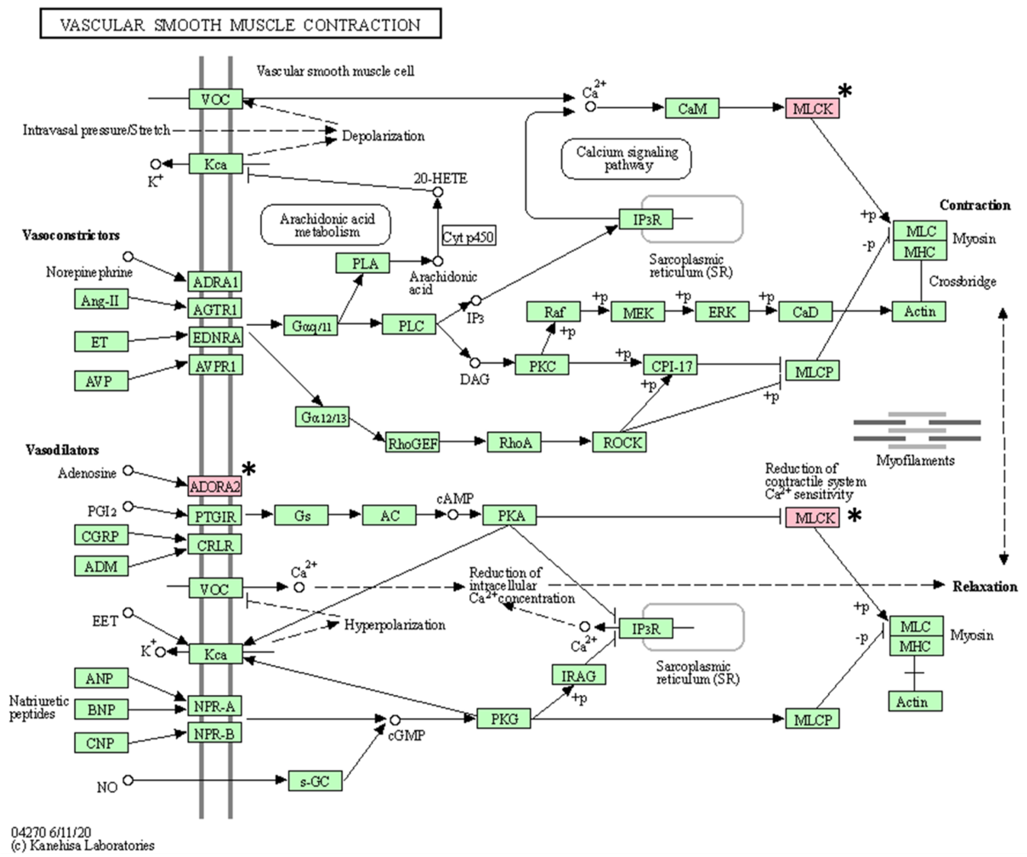 Animals 13 02846 g004