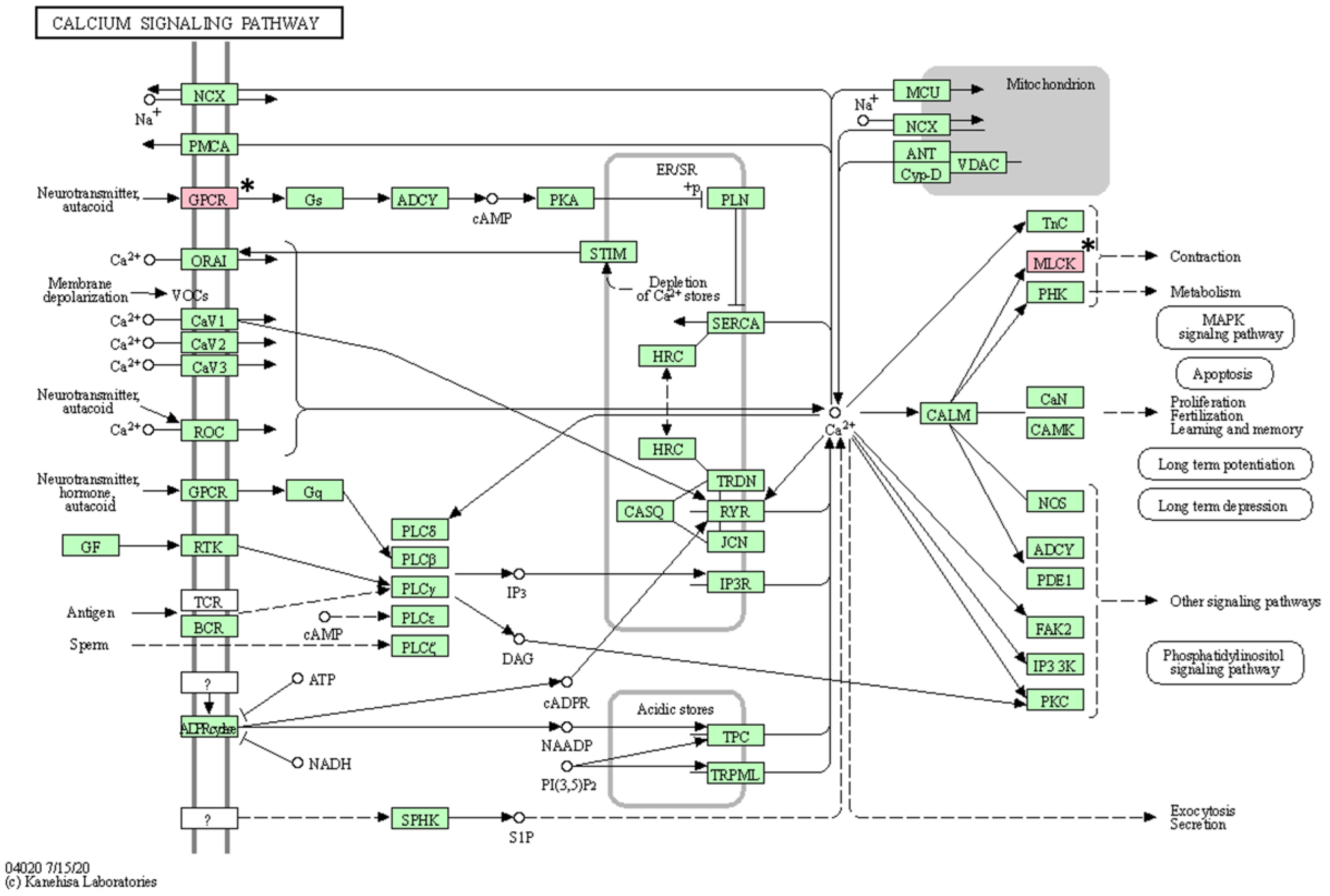 Animals 13 02846 g005