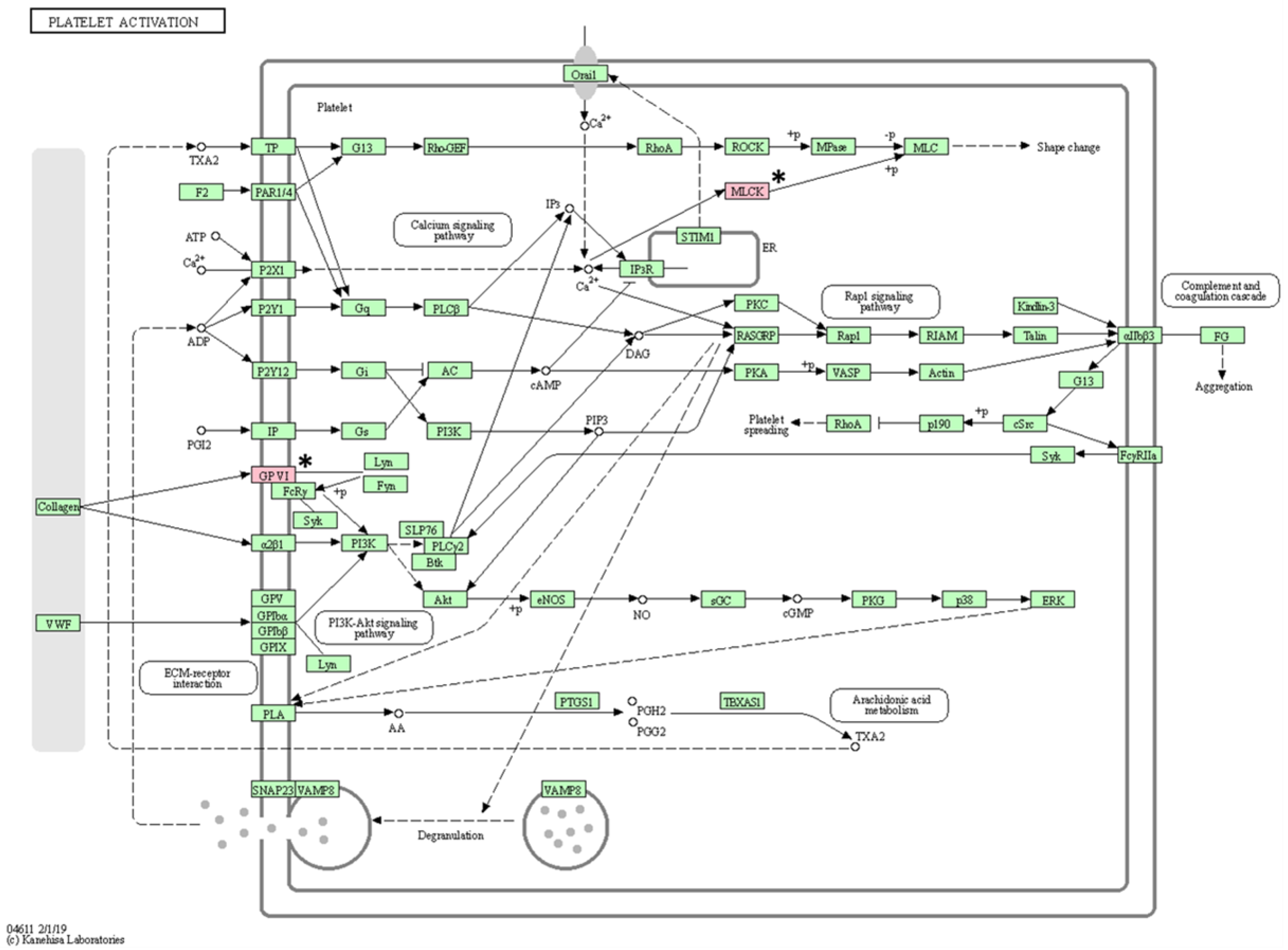 Animals 13 02846 g006