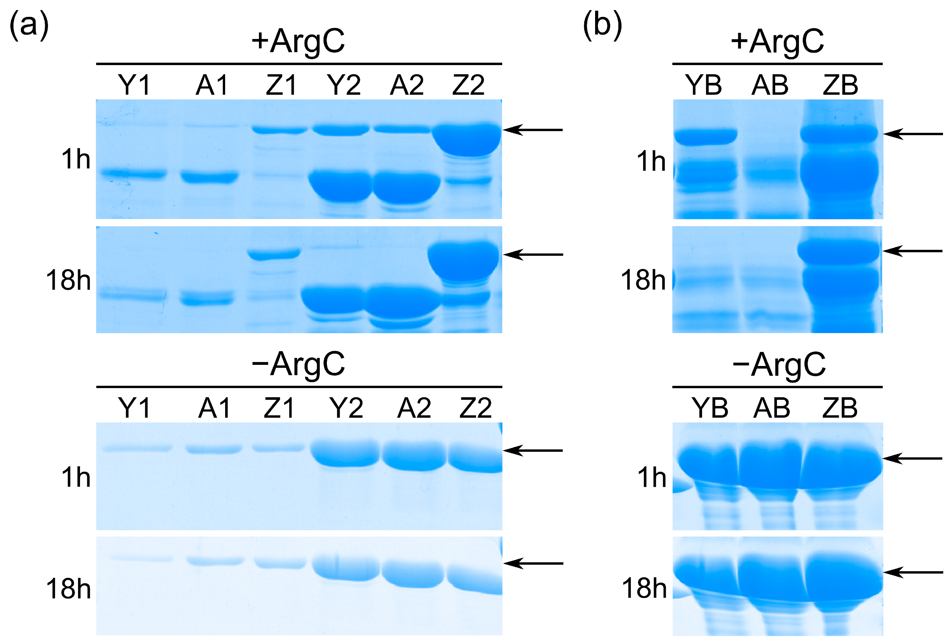 Animals 13 02855 g005