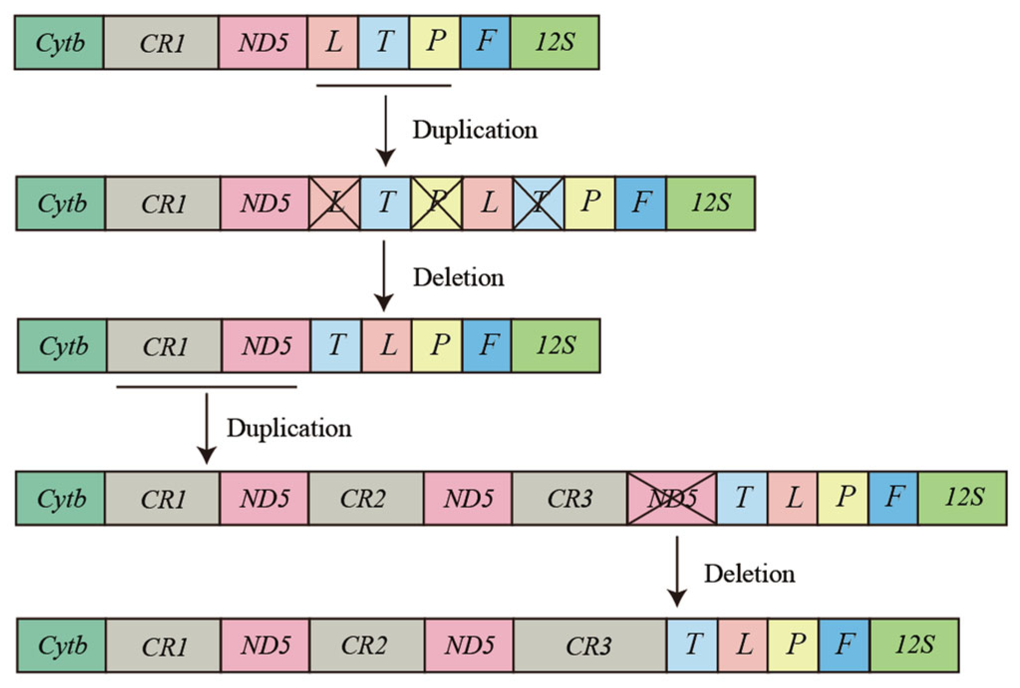 Animals 13 02857 g008