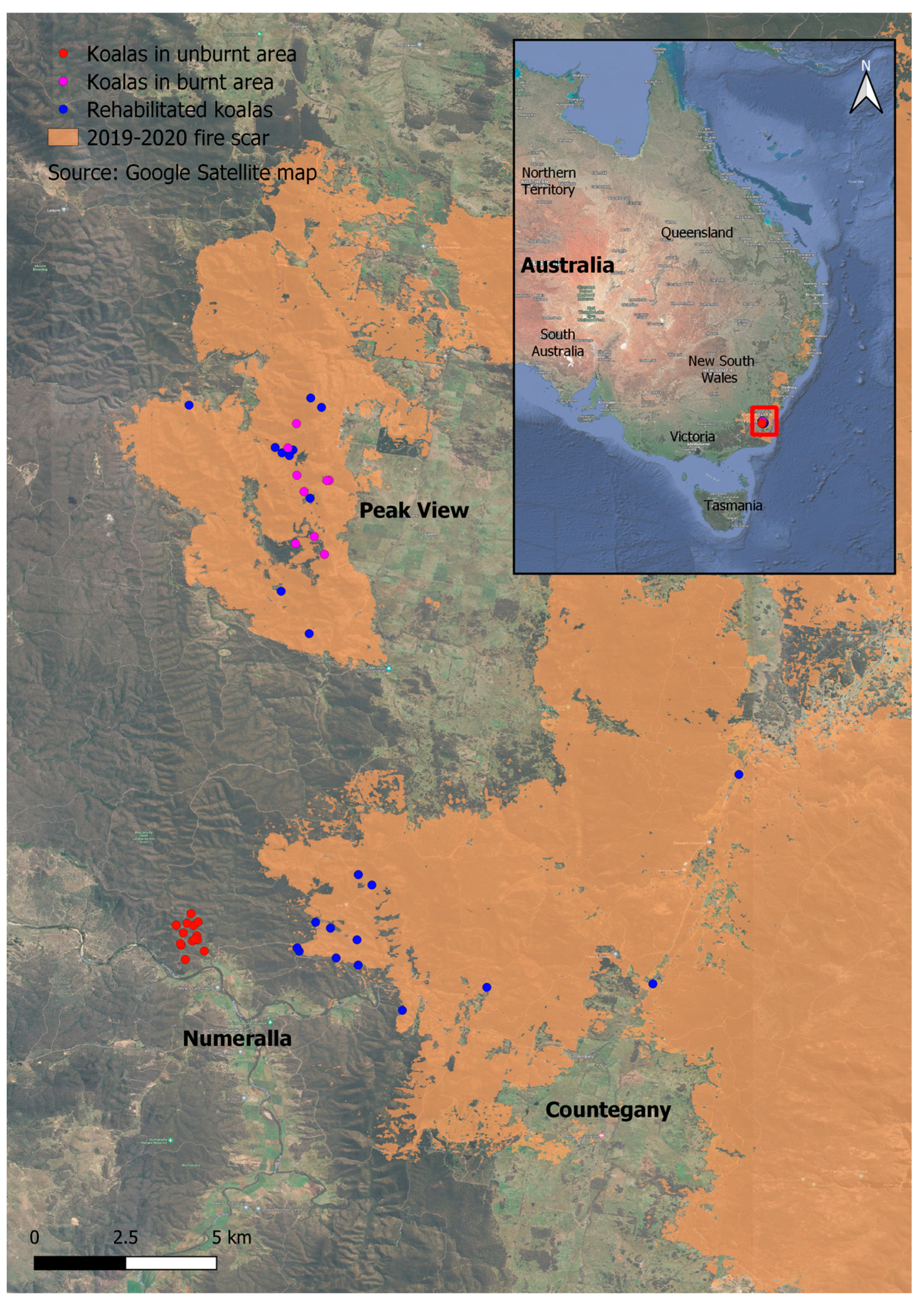 Animals 13 02863 g001