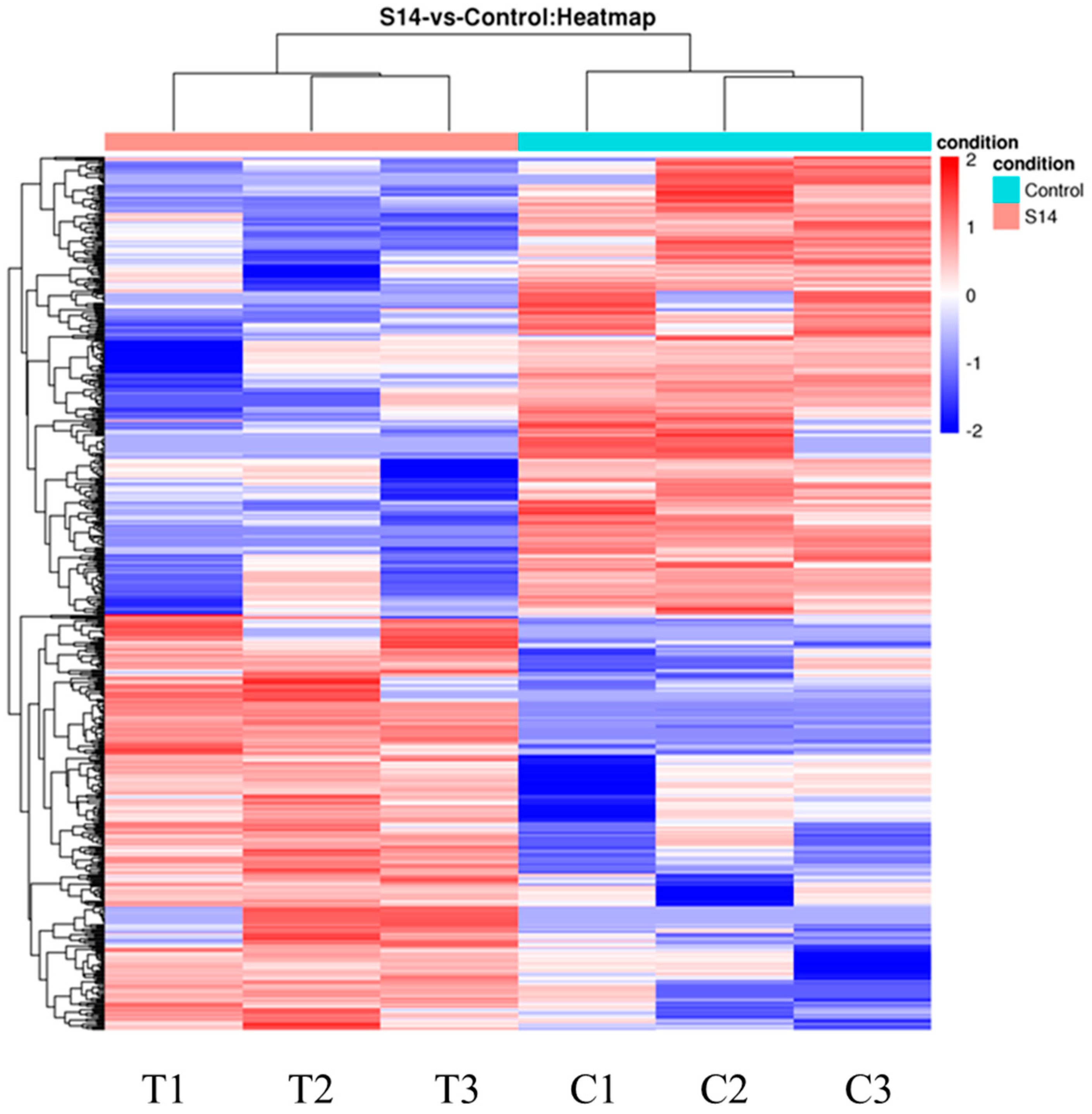 Animals 13 02884 g002