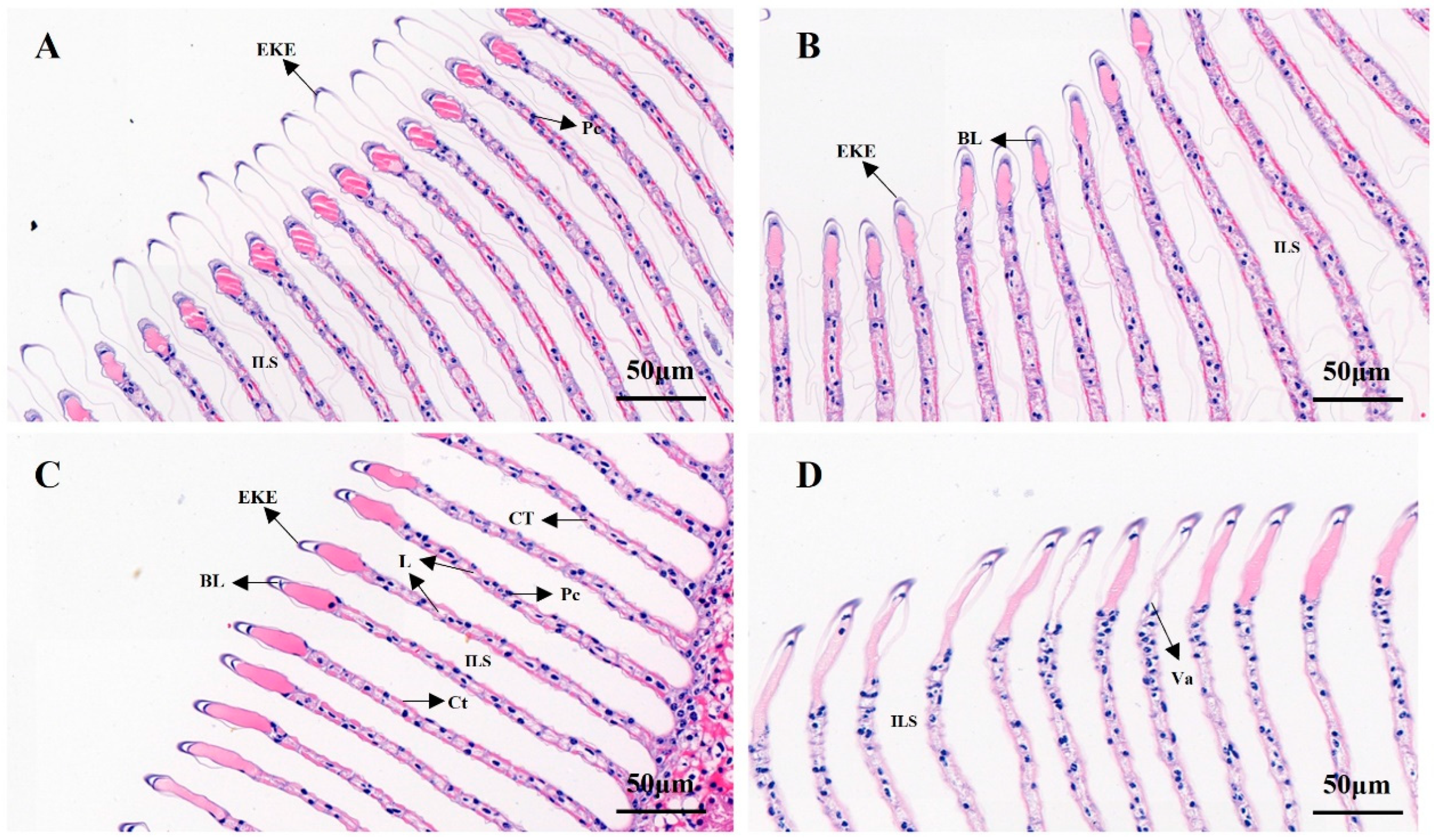 Animals 13 02884 g007