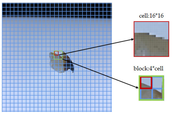 Animals 13 02891 g005