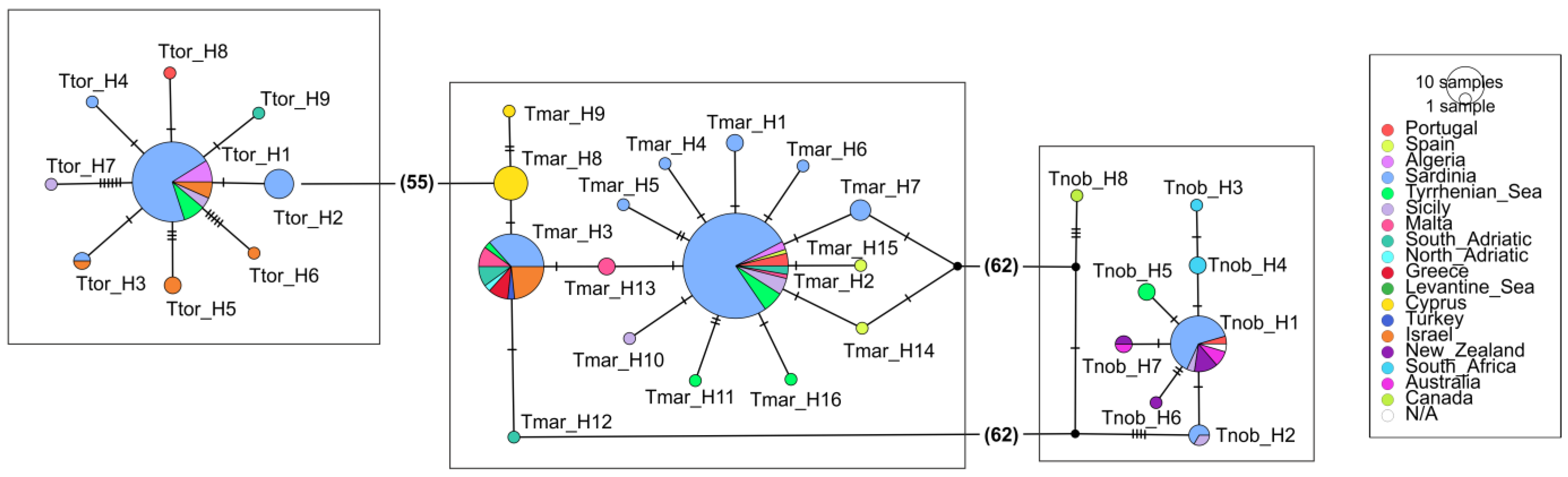 Animals 13 02899 g002 Animals 13 02899 g002
