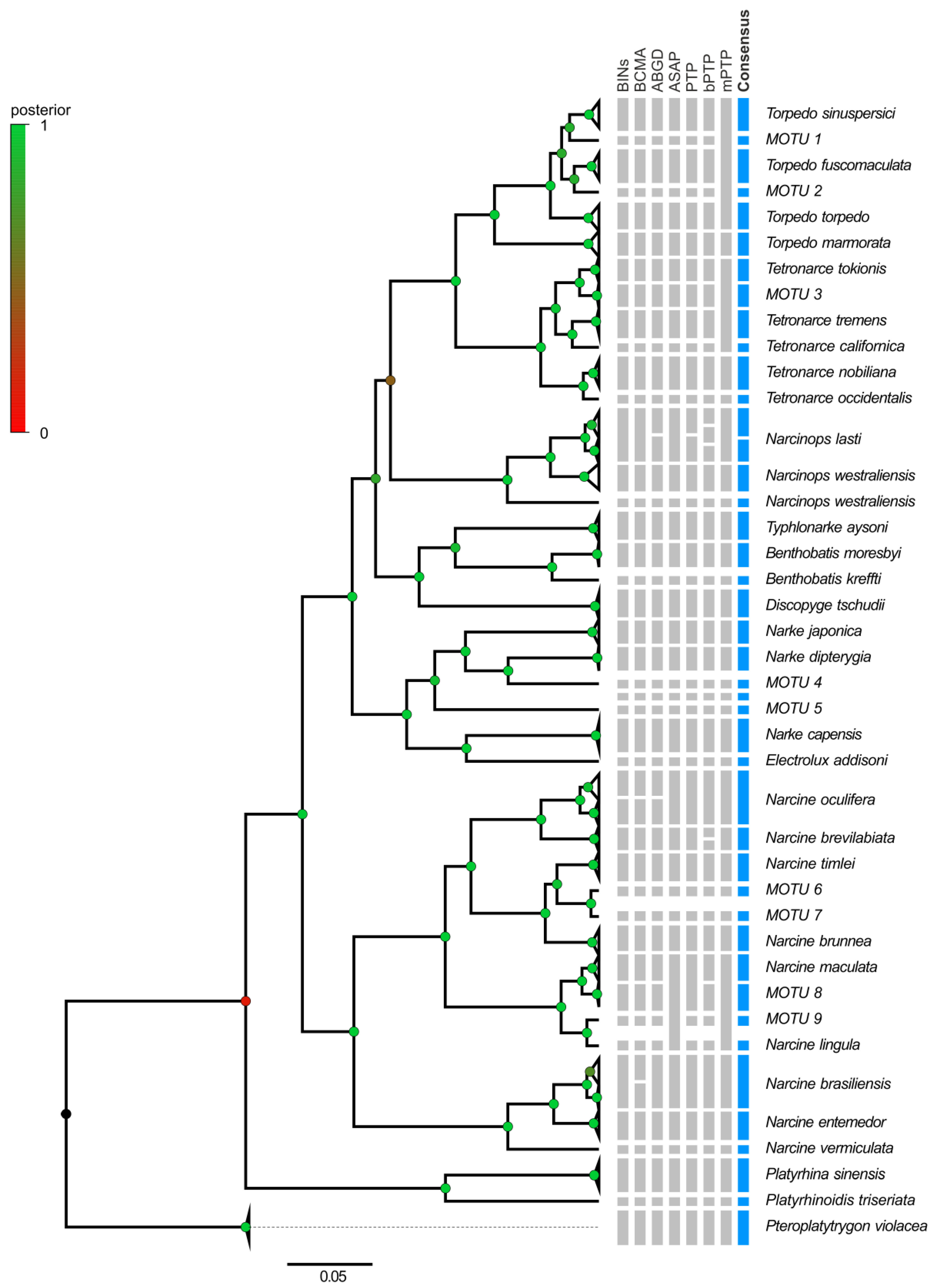 Animals 13 02899 g004 Animals 13 02899 g004