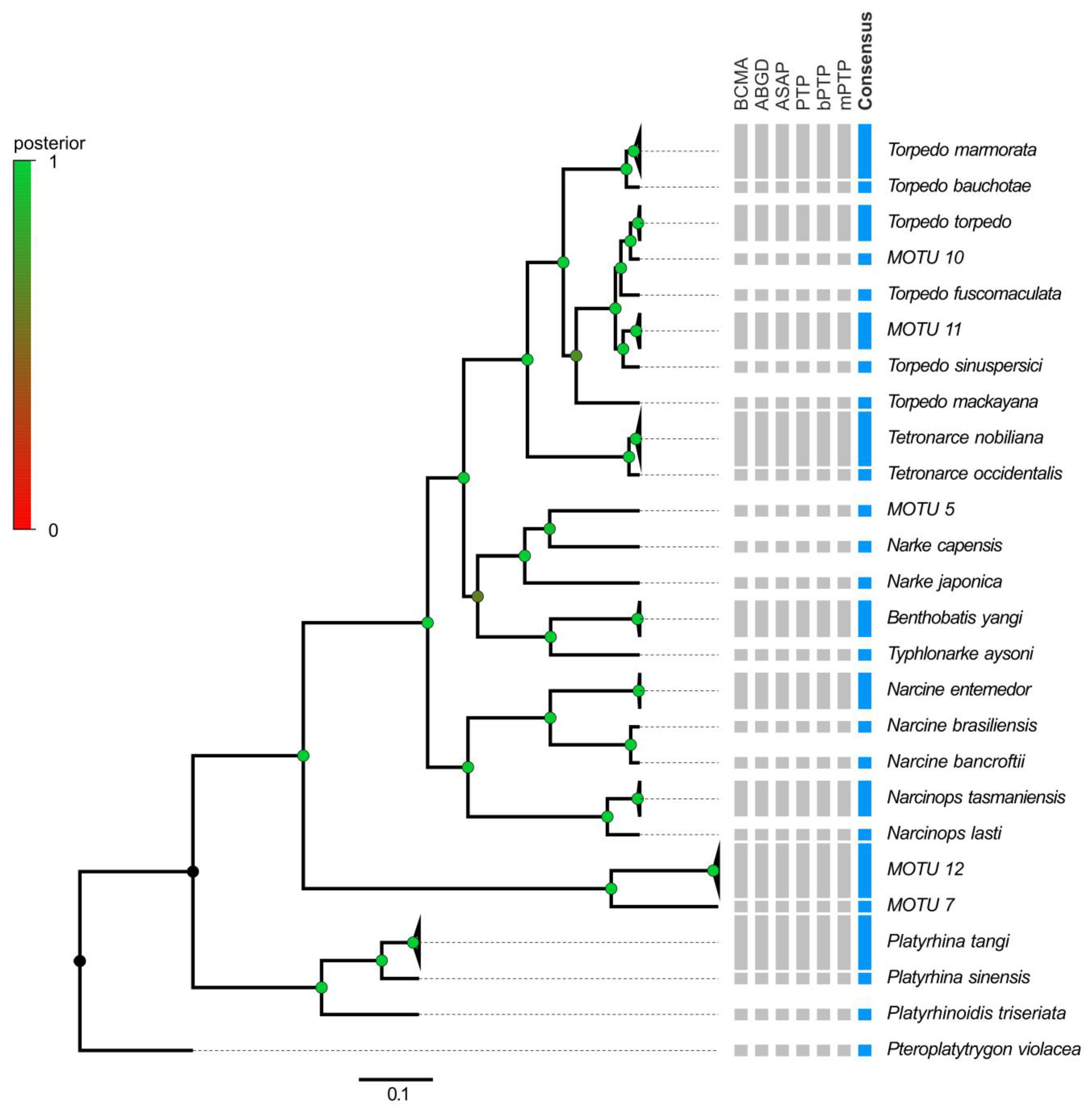Animals 13 02899 g005 Animals 13 02899 g005