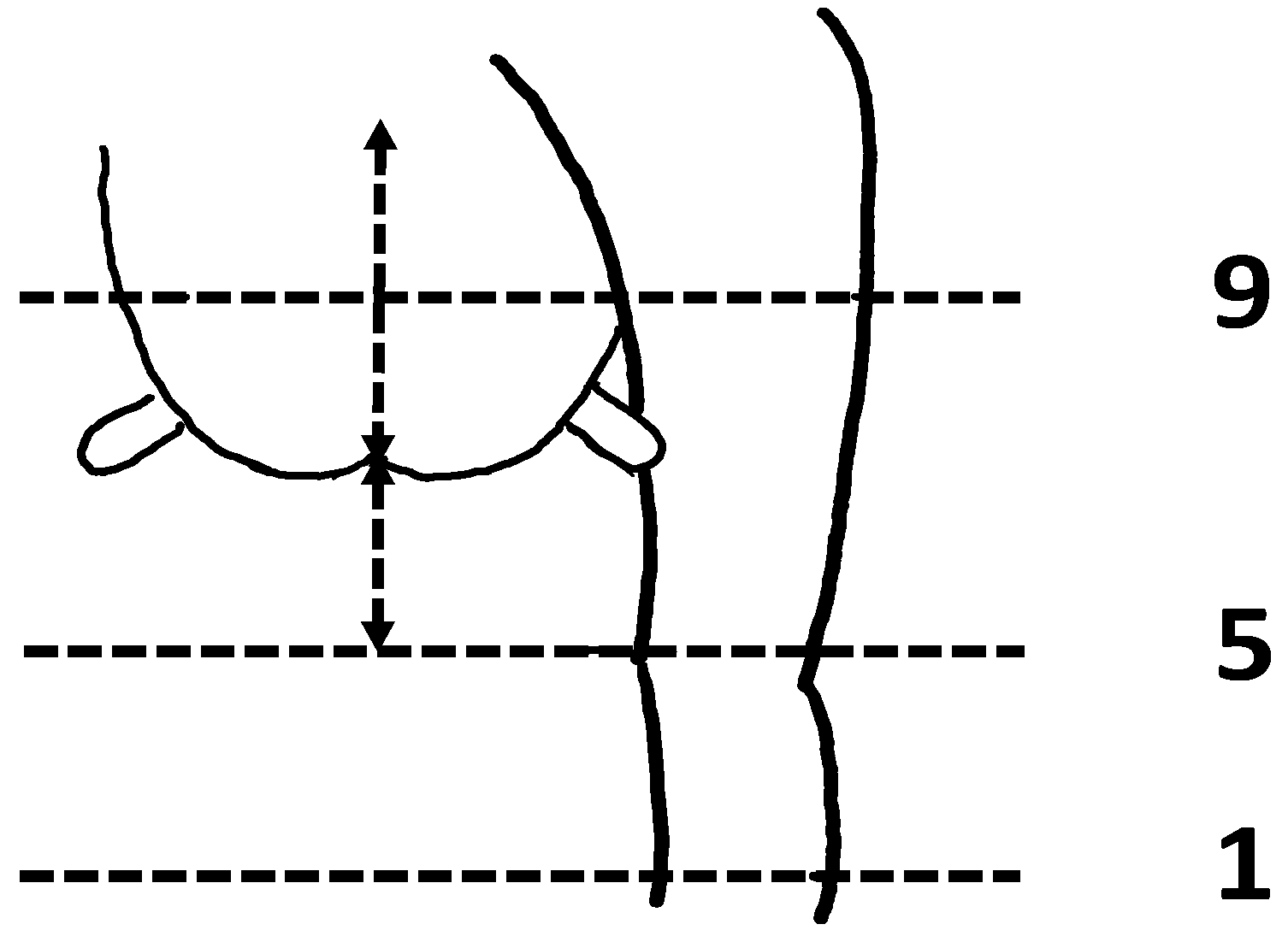 Animals 13 02900 g002