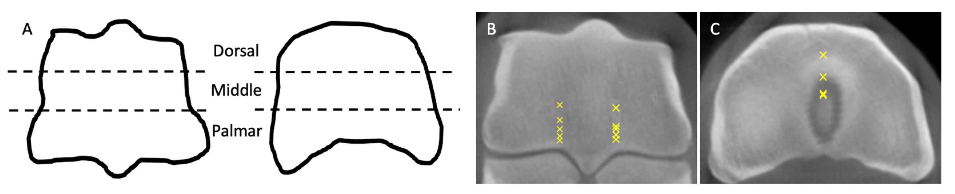 Animals 13 02912 g001