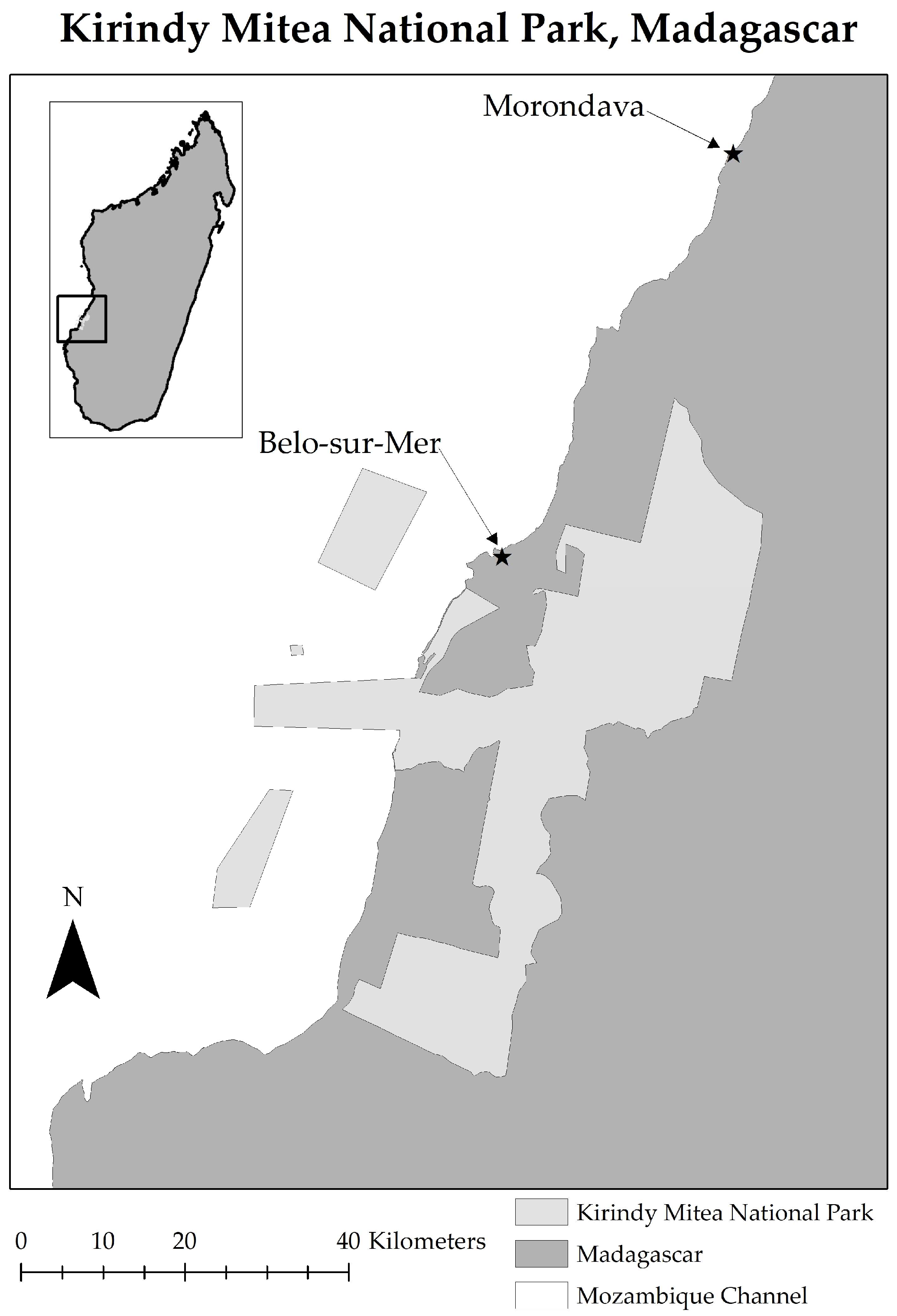 Animals 13 02914 g001 Animals 13 02914 g001