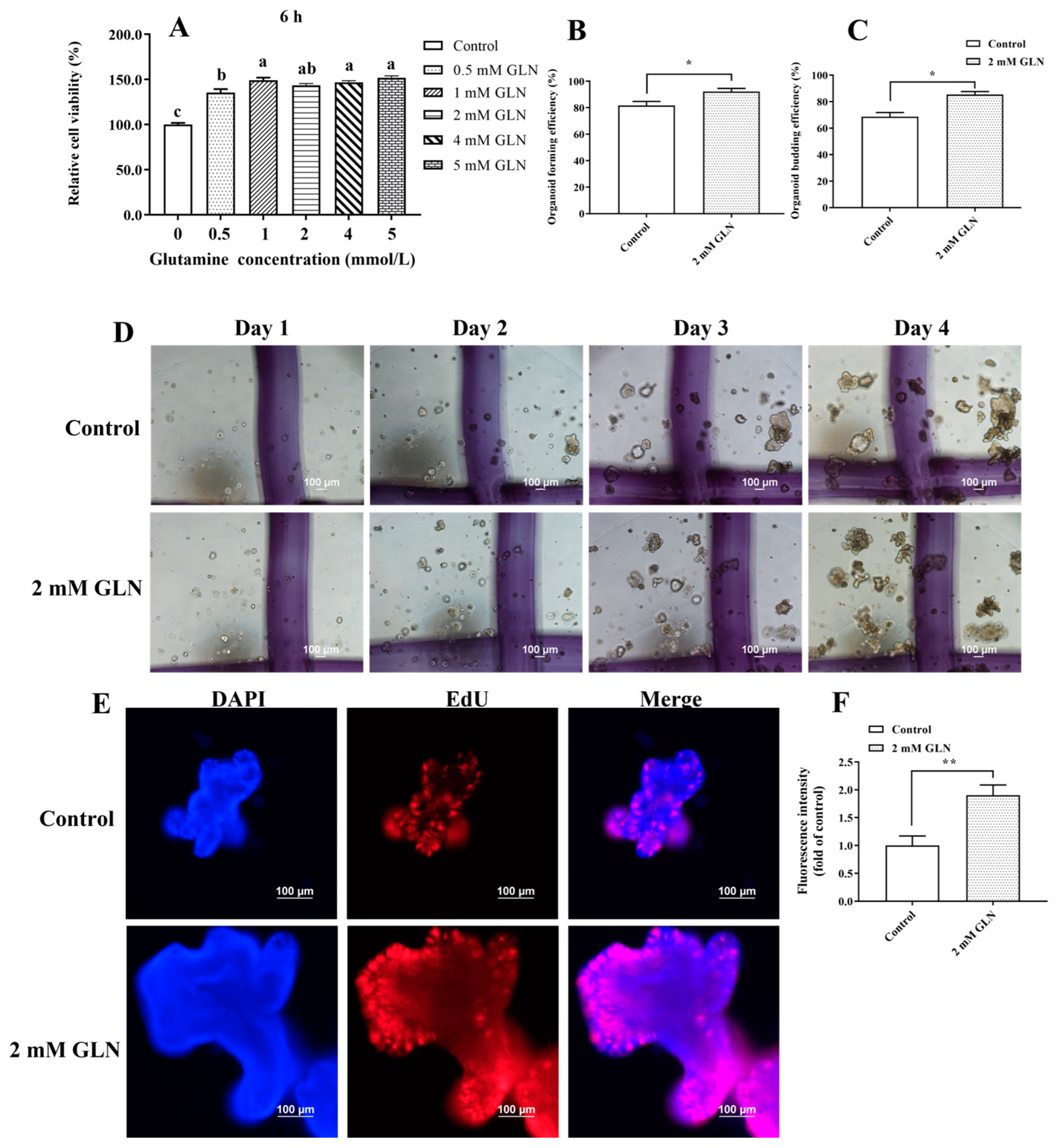 Animals 13 02917 g001