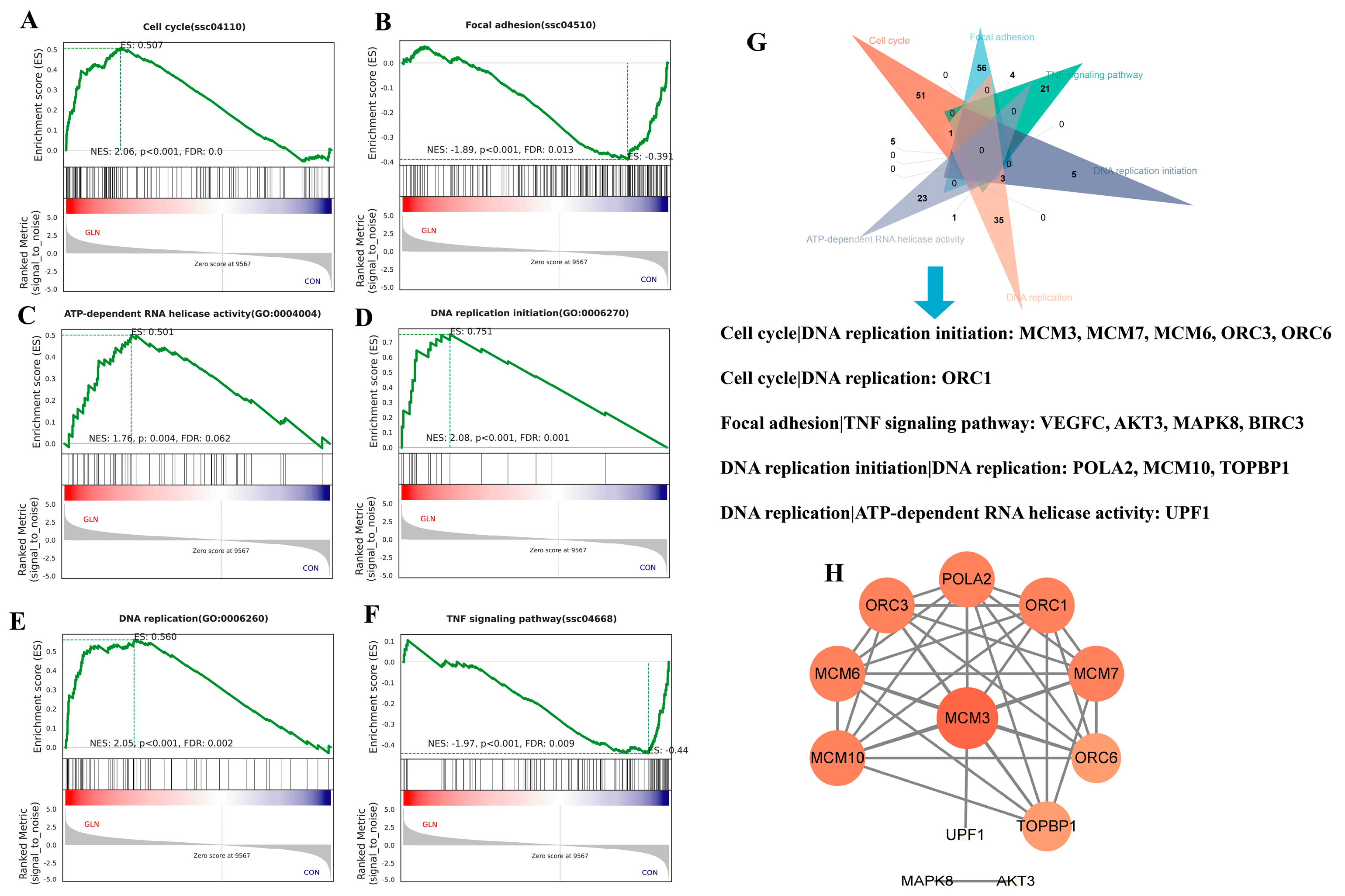 Animals 13 02917 g005