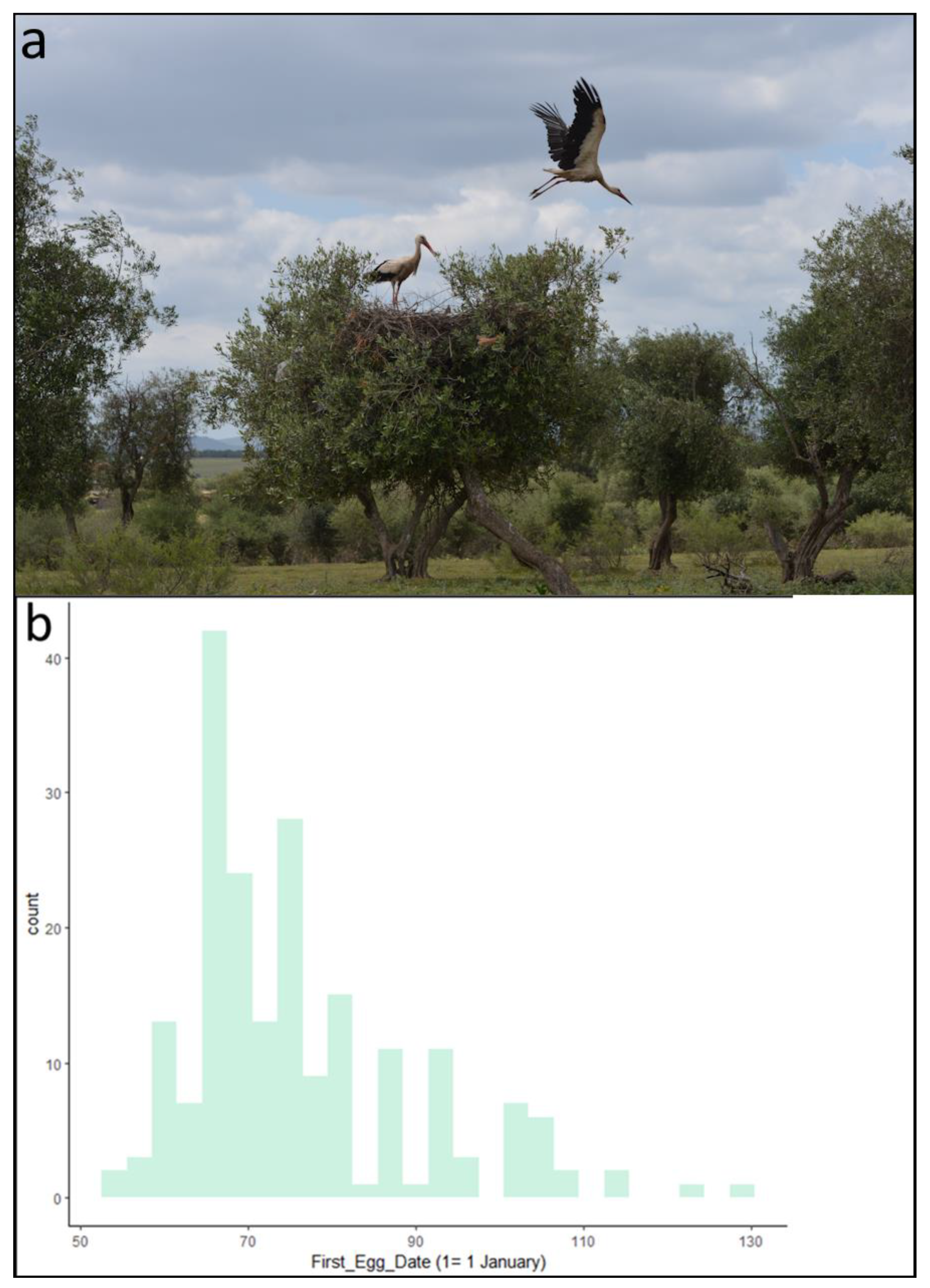 Animals 13 02920 g001