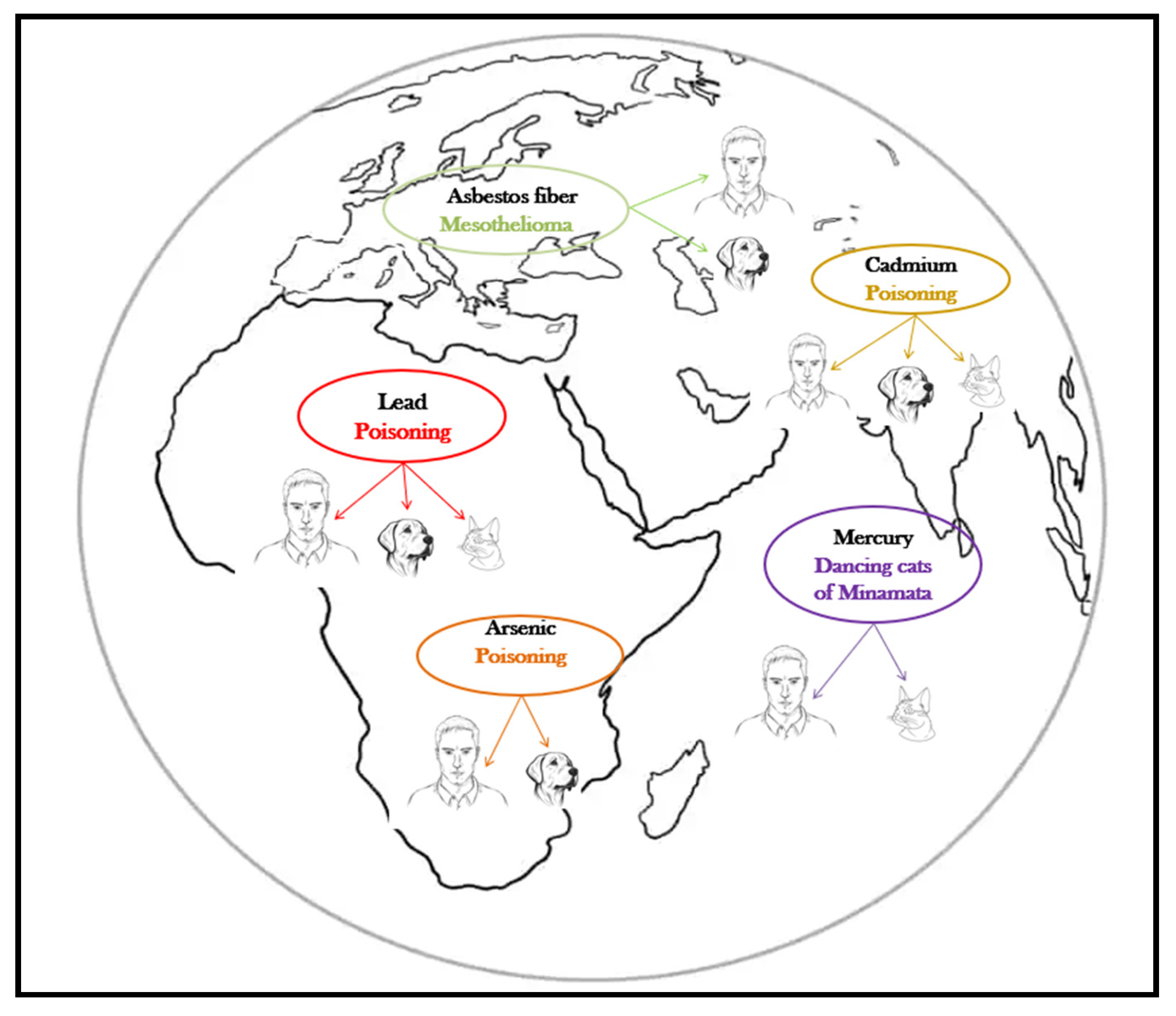 Animals 13 02923 g002