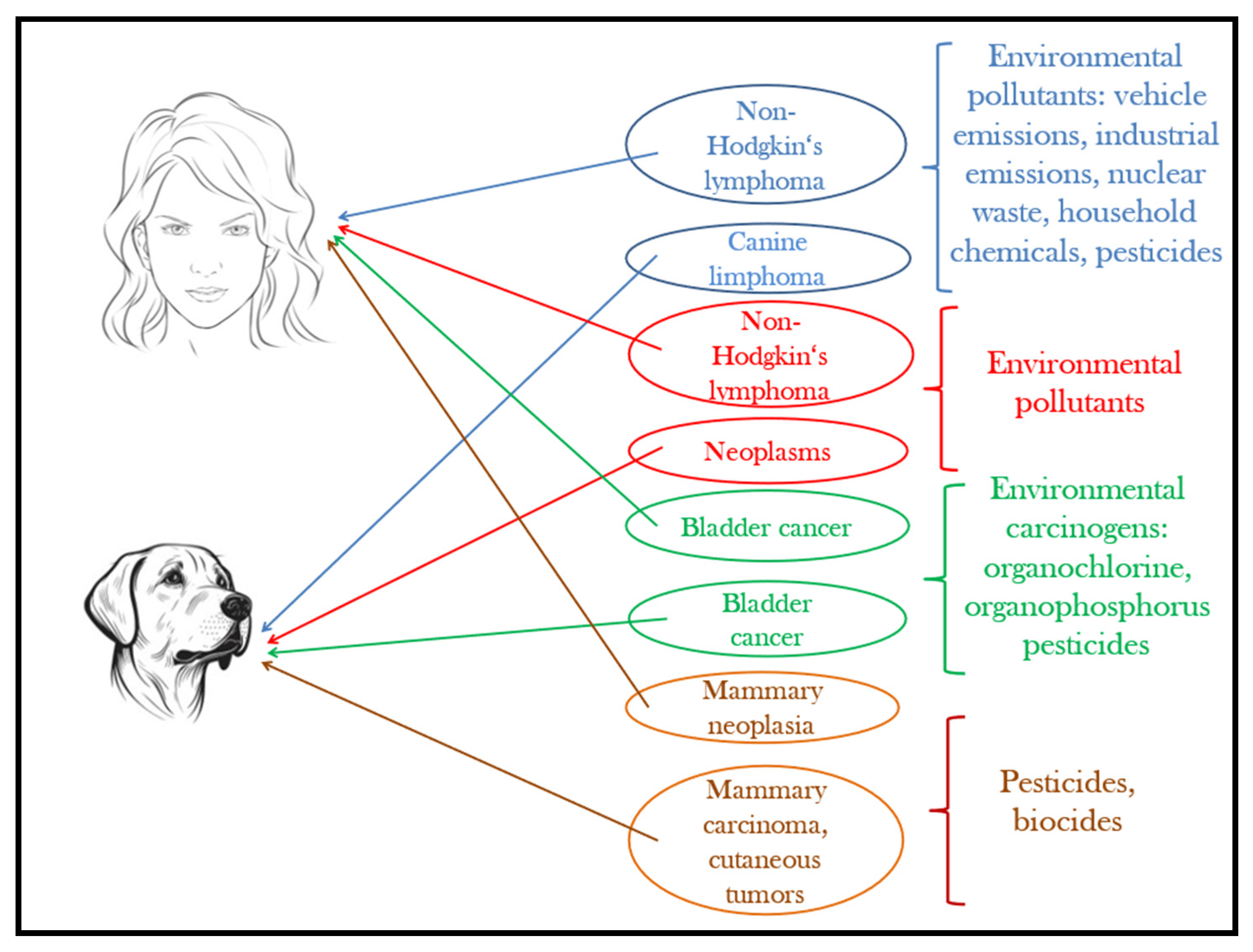 Animals 13 02923 g004