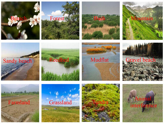 Animals 13 02924 g0a2