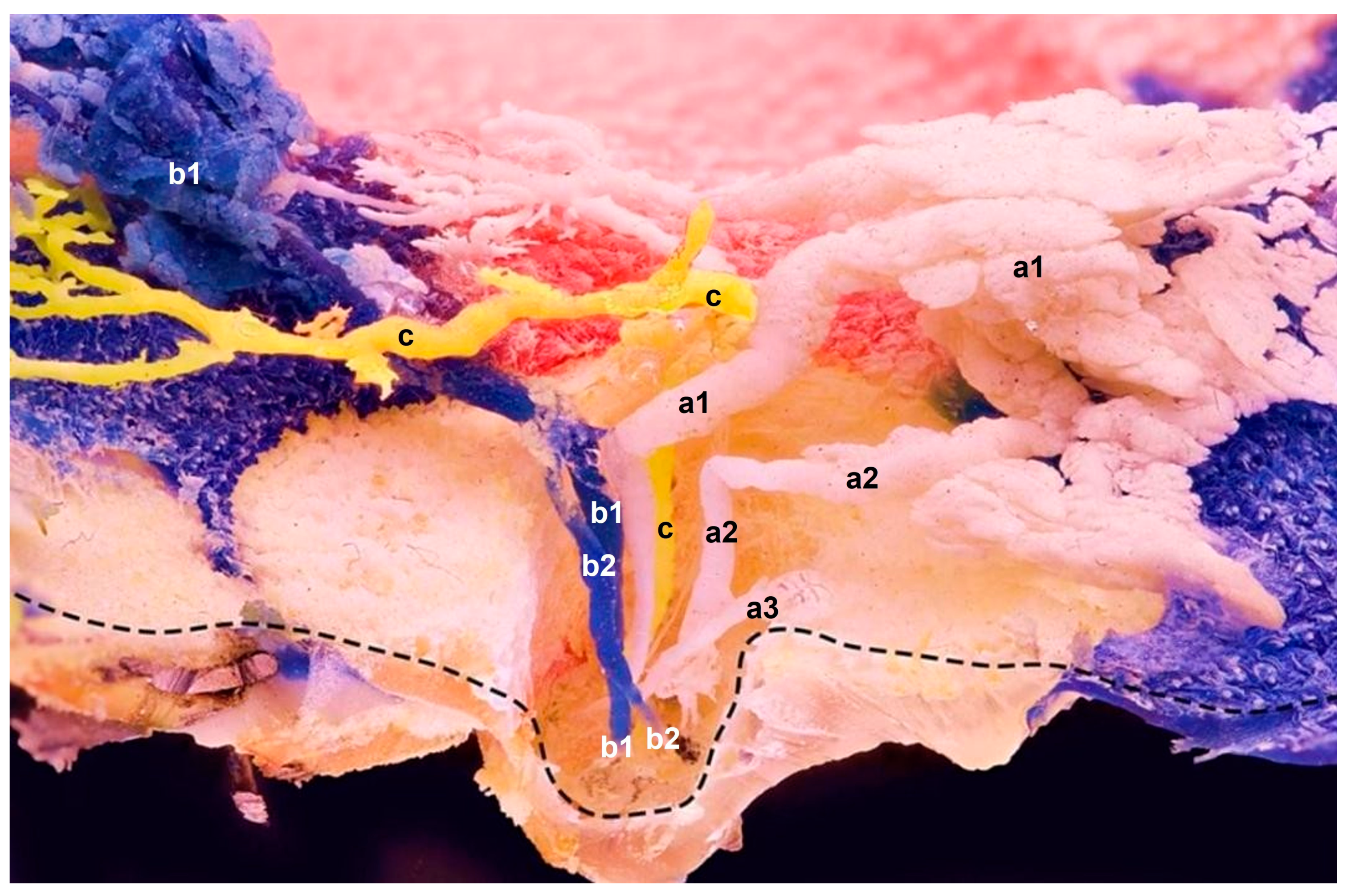 Animals 13 02932 g002 Animals 13 02932 g002