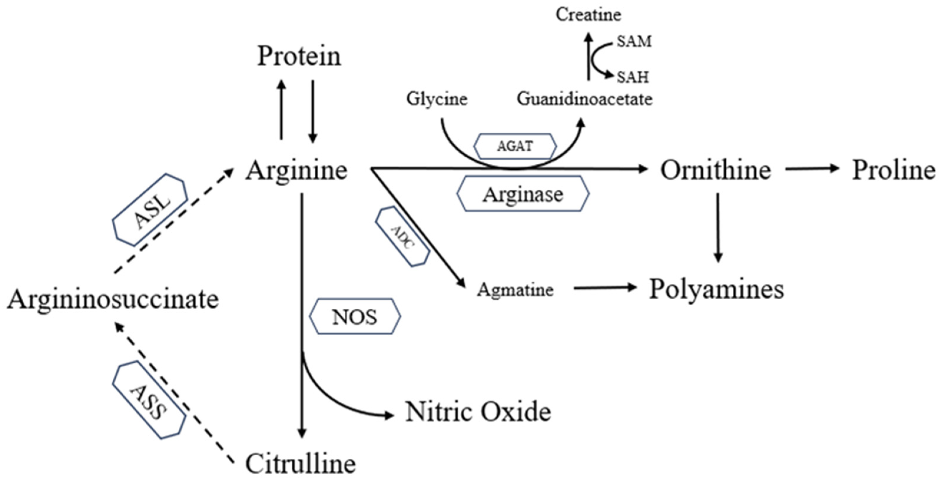 Animals 13 02949 g002 Animals 13 02949 g002