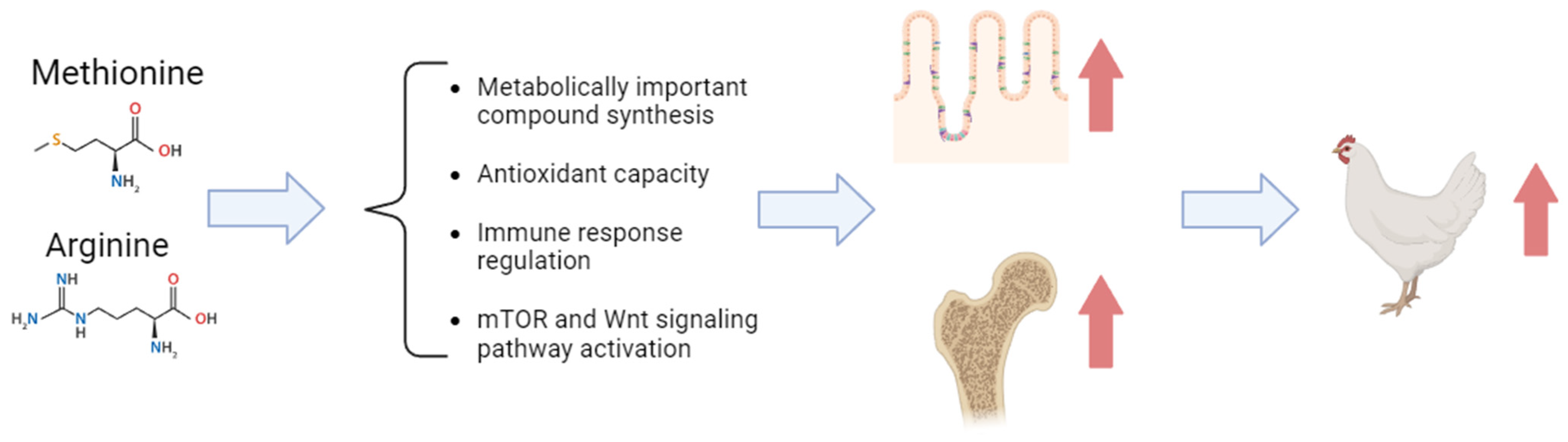 Animals 13 02949 g004 Animals 13 02949 g004