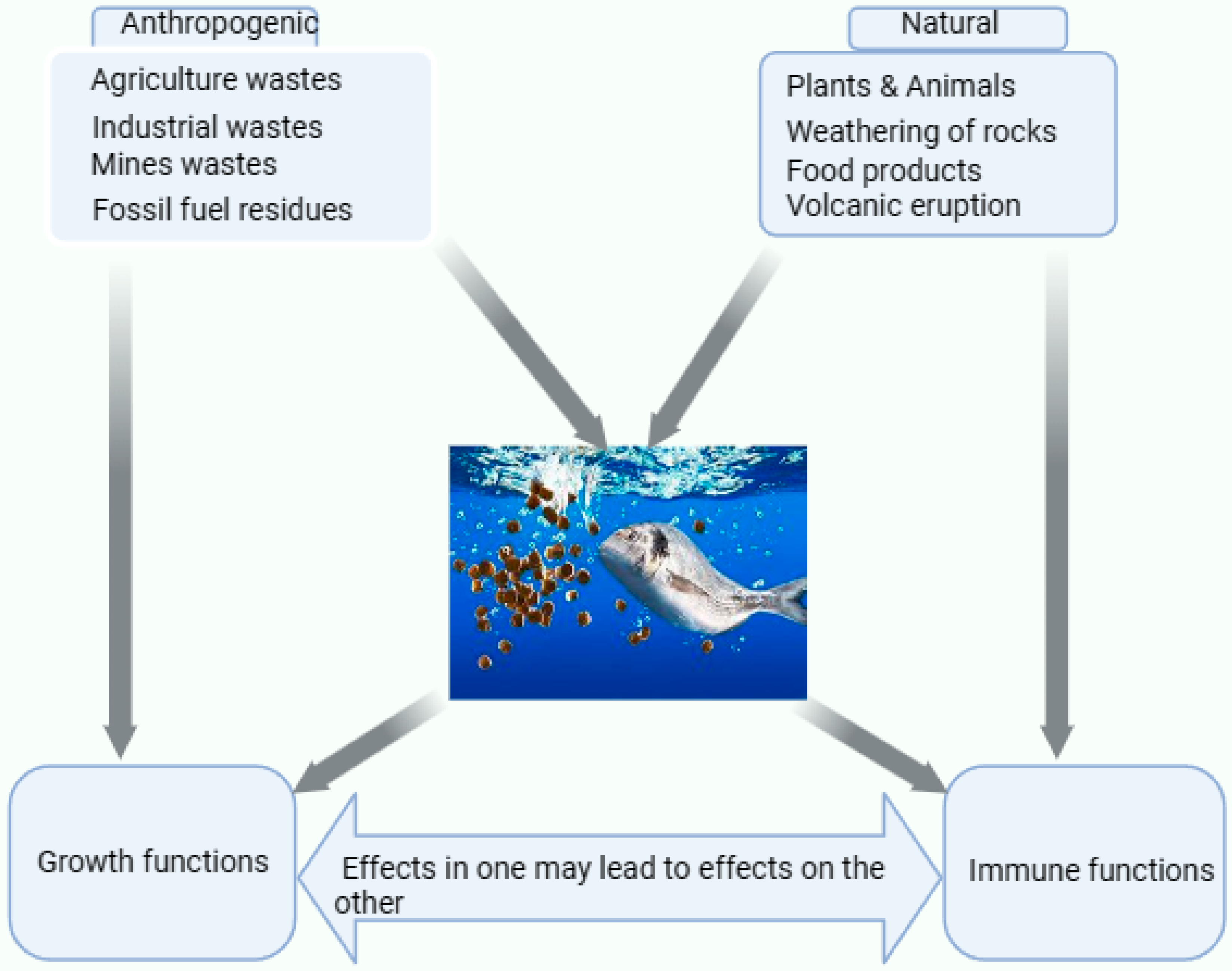 Animals 13 02978 g001