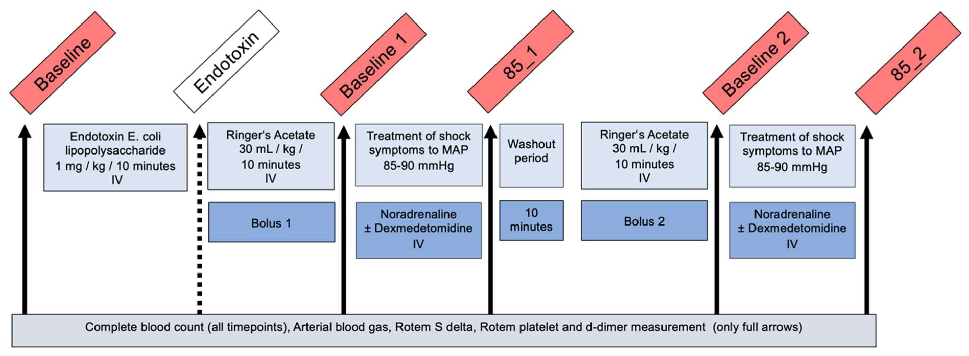 Animals 13 02997 g001