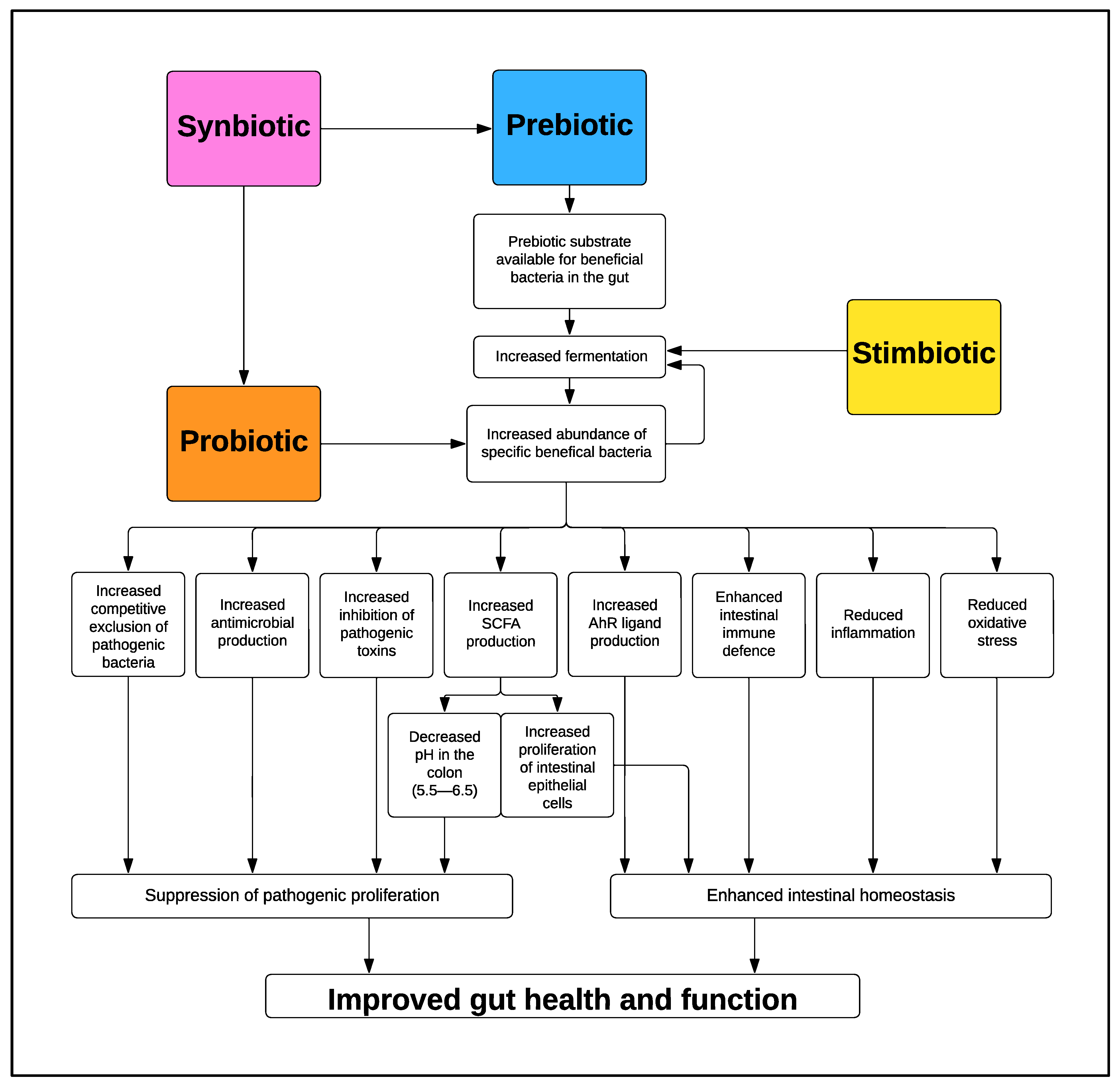 Animals 13 03012 g001