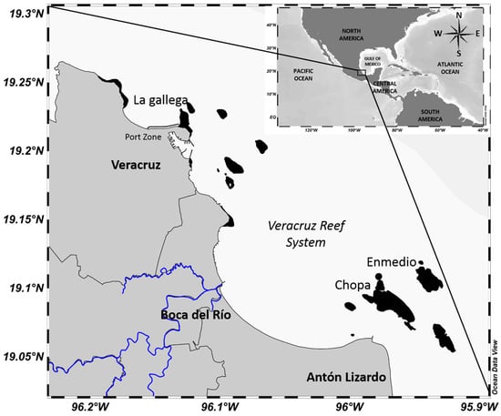 Animals 13 03049 g001