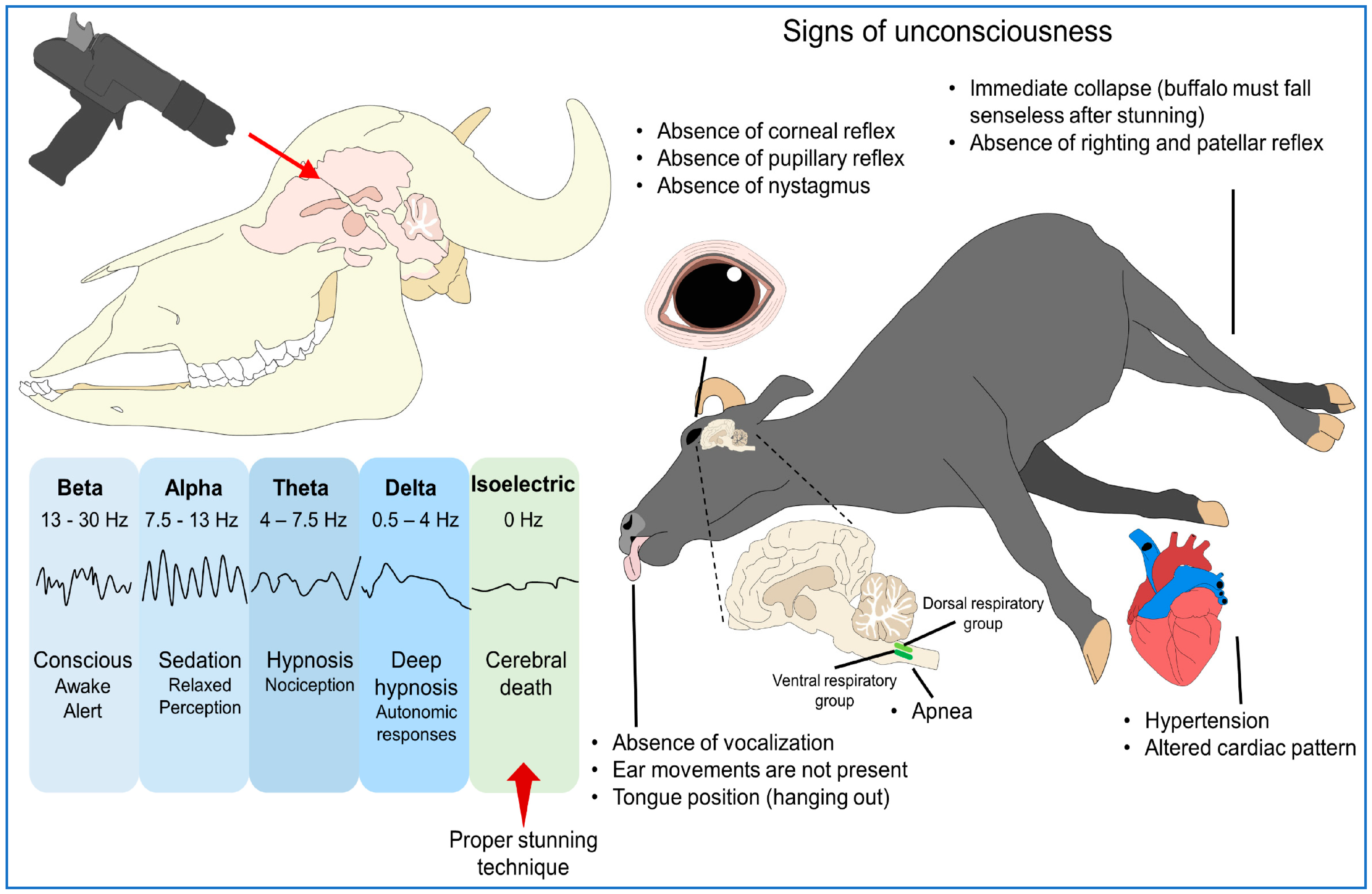 Animals 13 03061 g001 Animals 13 03061 g001