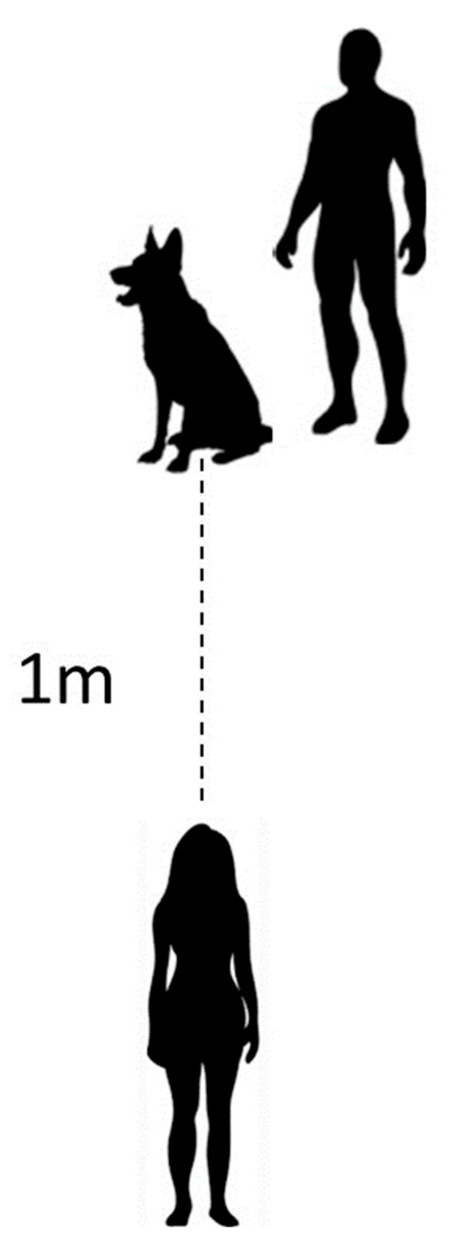 Animals 13 03073 g002